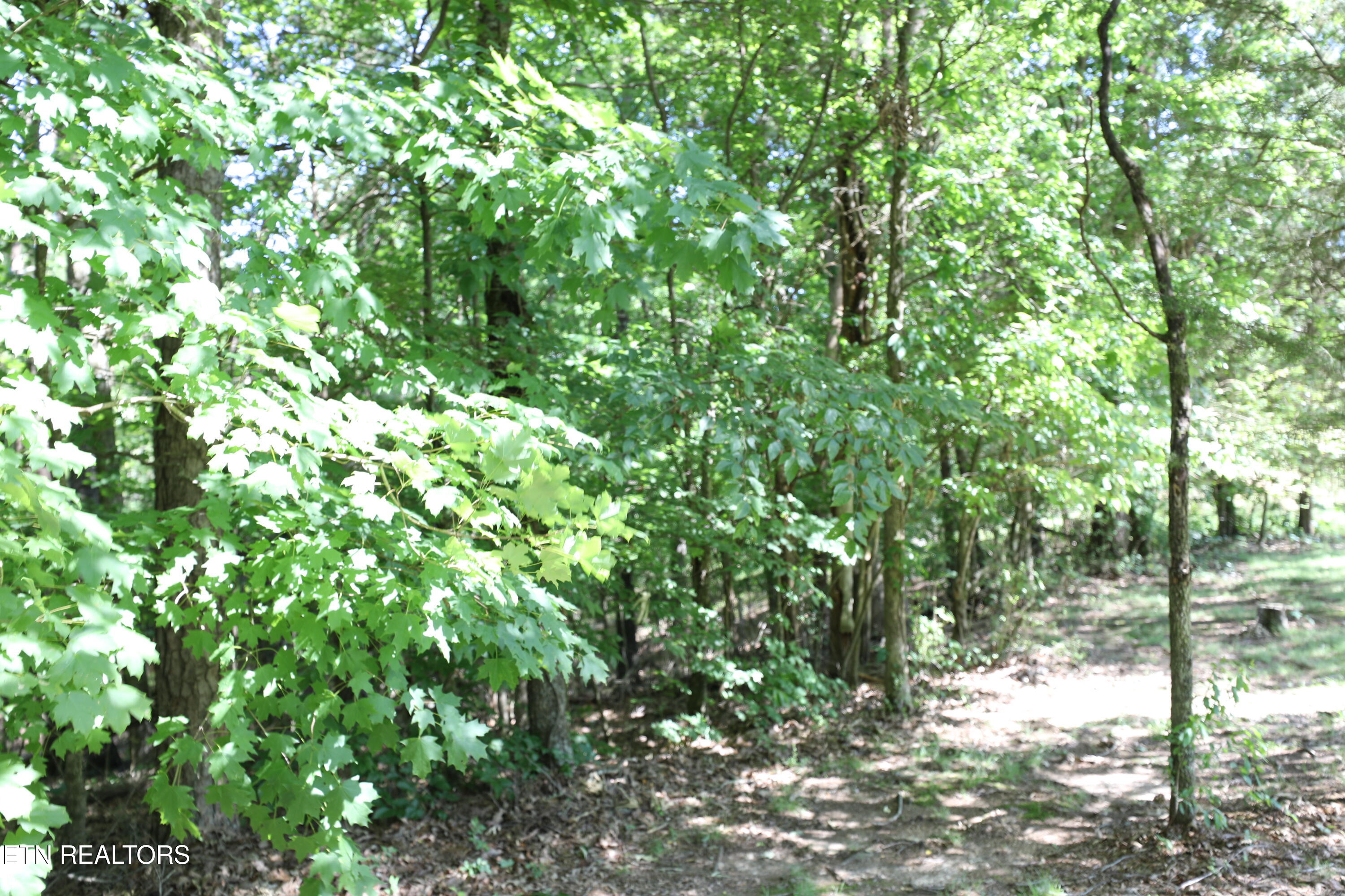 Mountain View Drive Property Photo 12