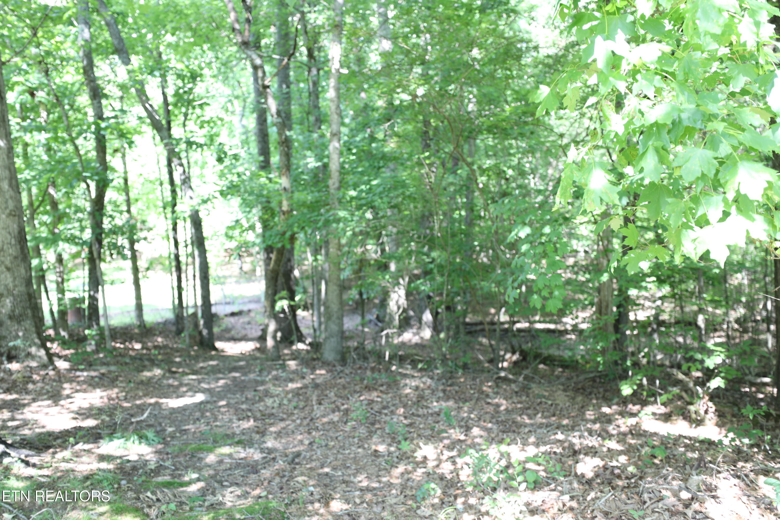 Mountain View Drive Property Photo 13