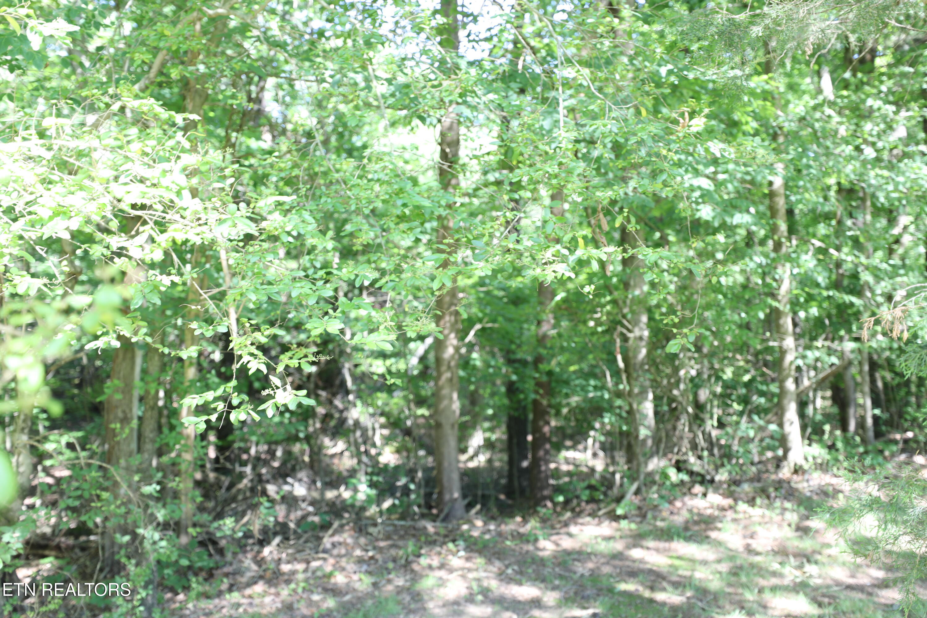 Mountain View Drive Property Photo 14