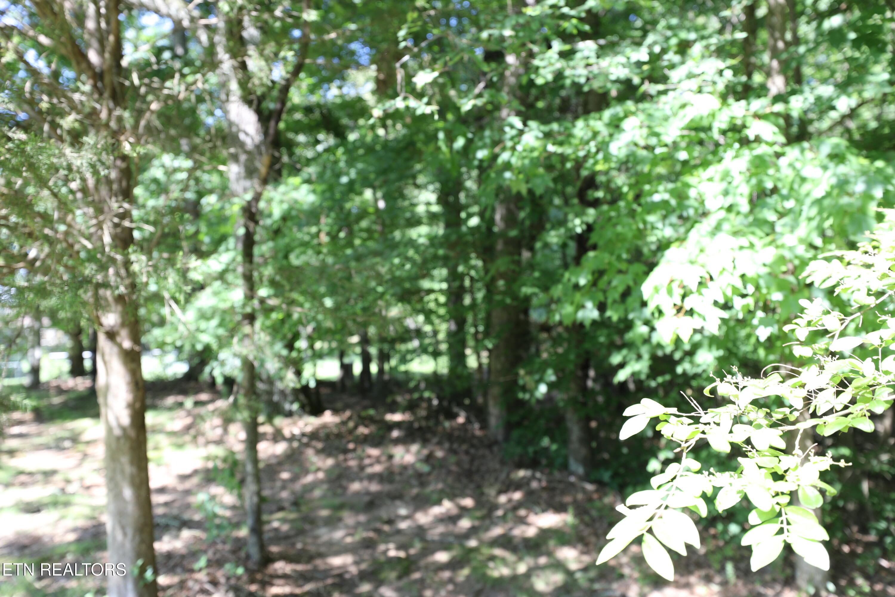 Mountain View Drive Property Photo 15