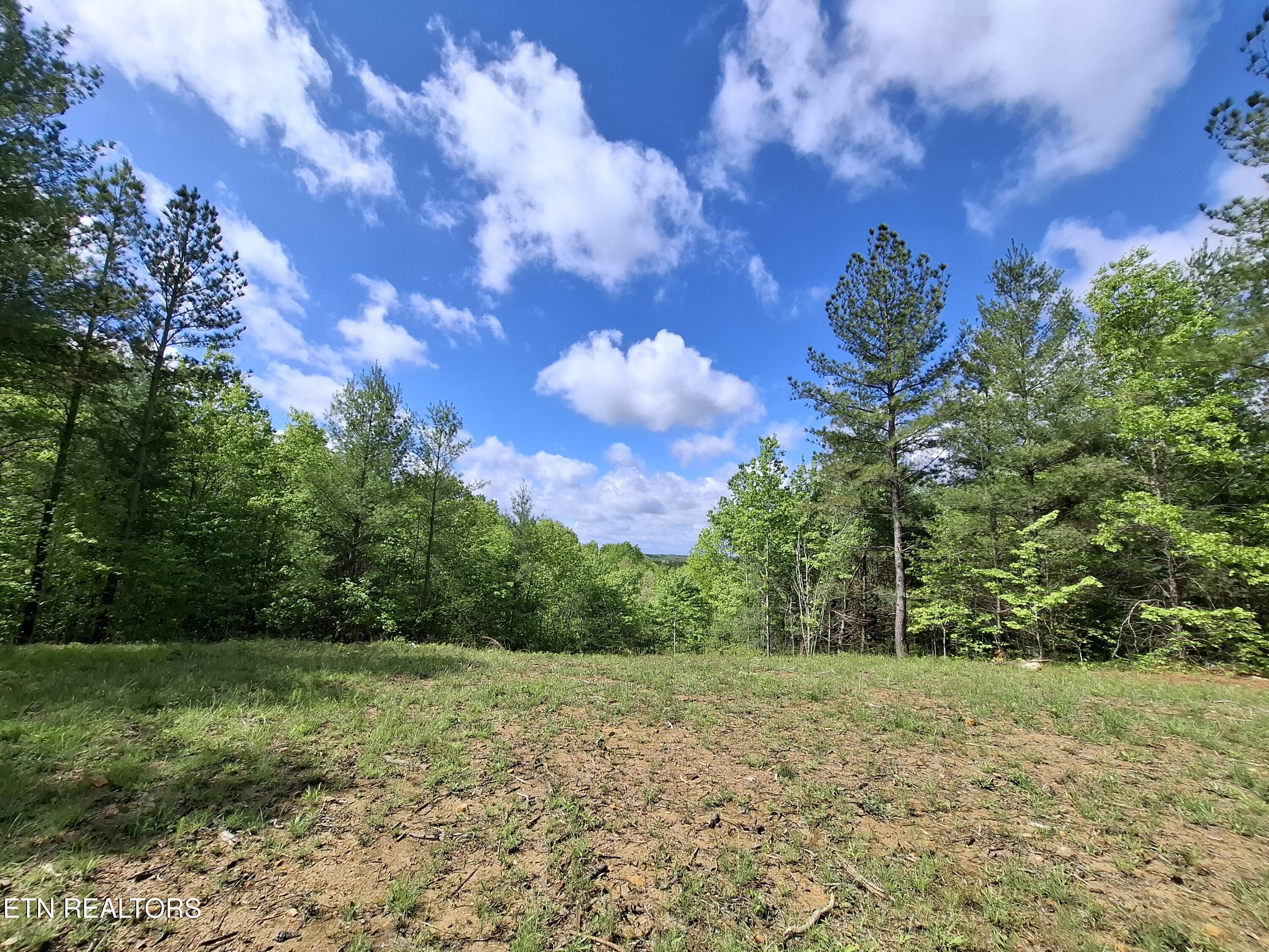 Lot 38 Stonecipher Court Property Photo 2