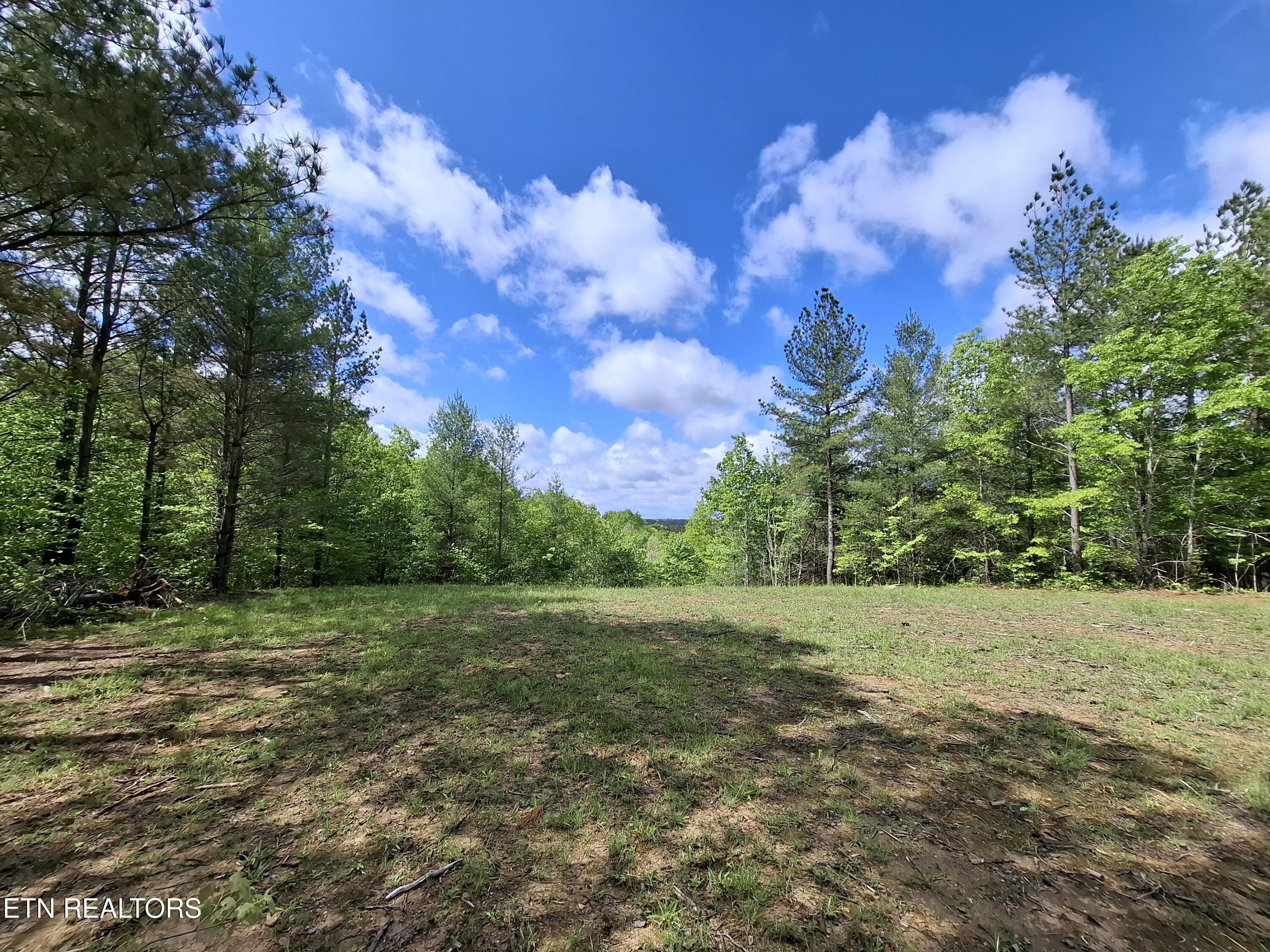 Lot 38 Stonecipher Court Property Photo 3