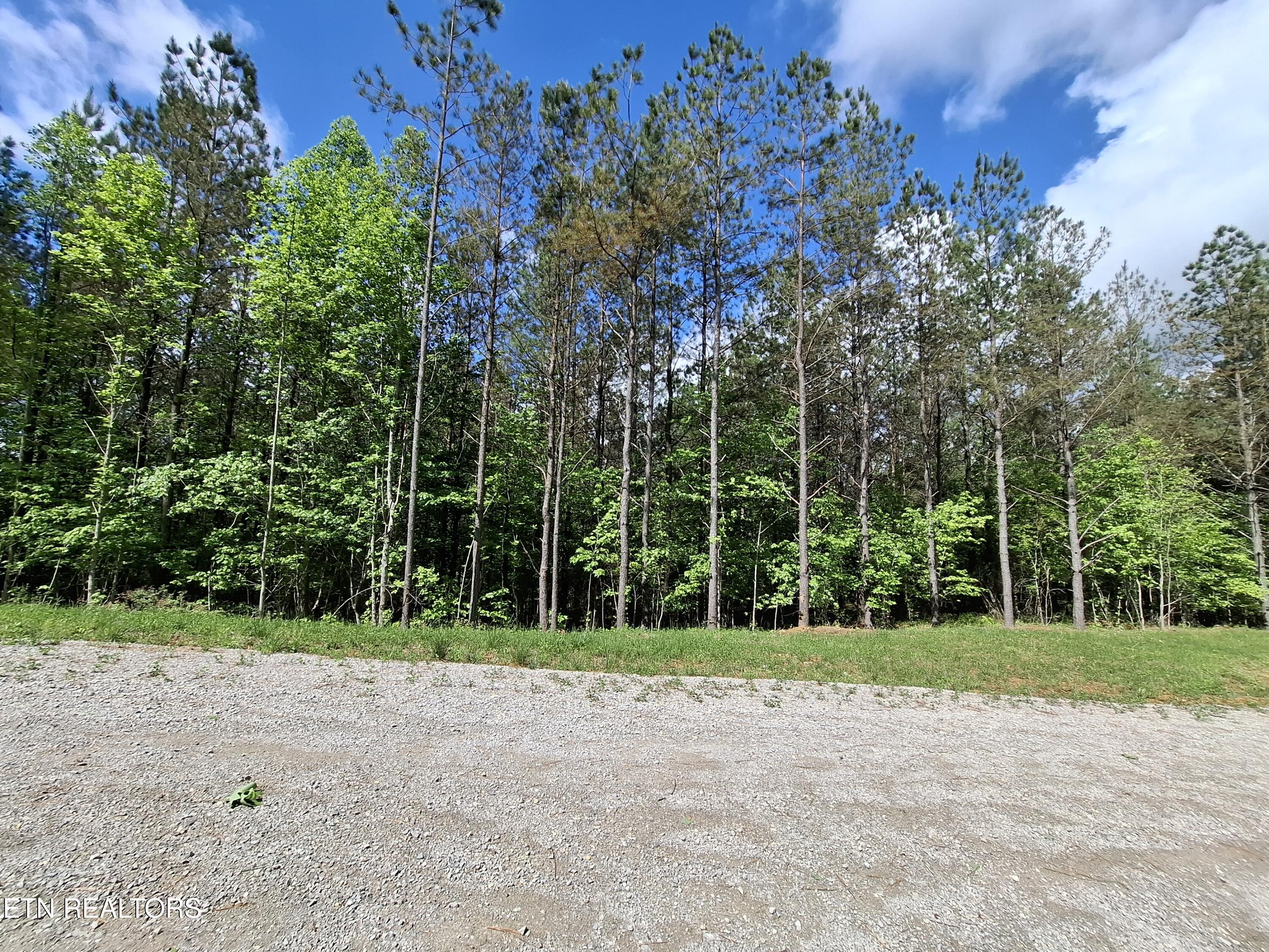 Lot 38 Stonecipher Court Property Photo 7