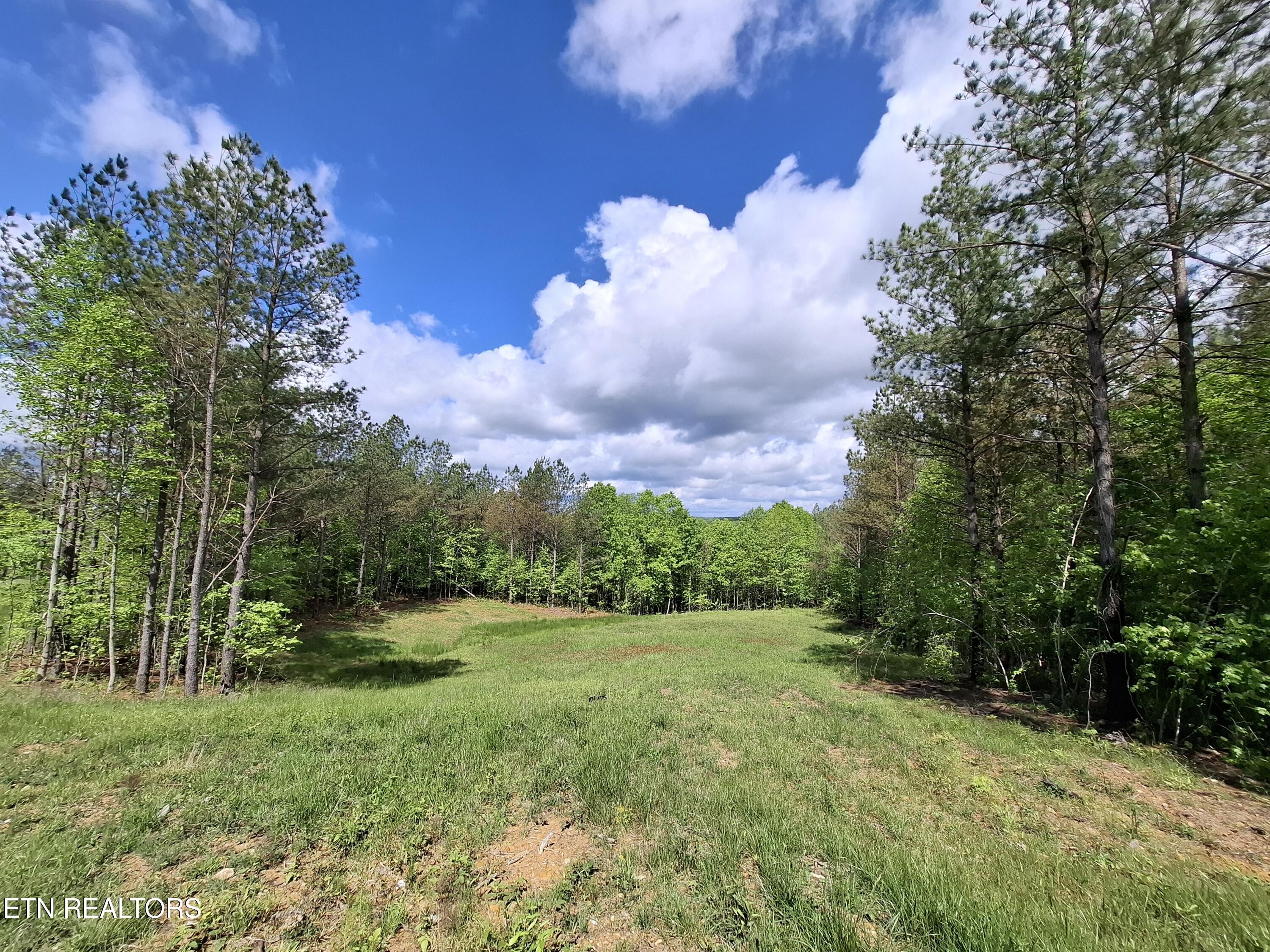 Lot 38 Stonecipher Court Property Photo 12