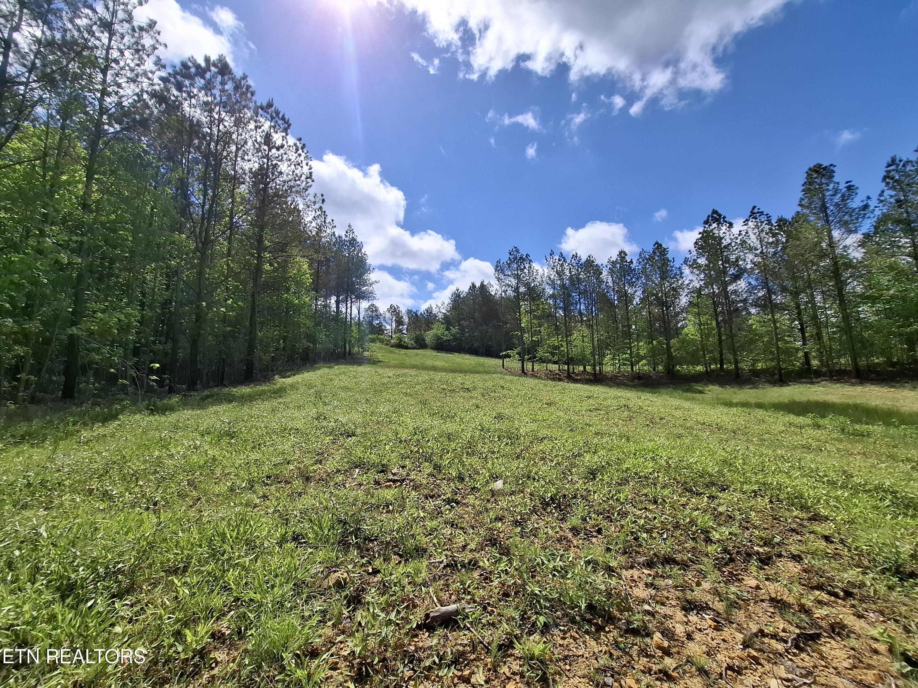 Lot 38 Stonecipher Court Property Photo 15