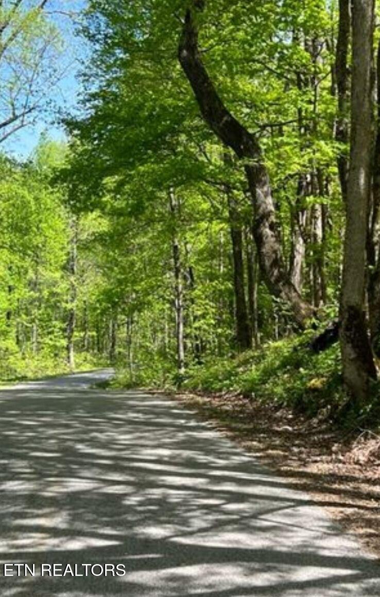 95.43 Acre Sheep Bluff Rd Property Photo 1