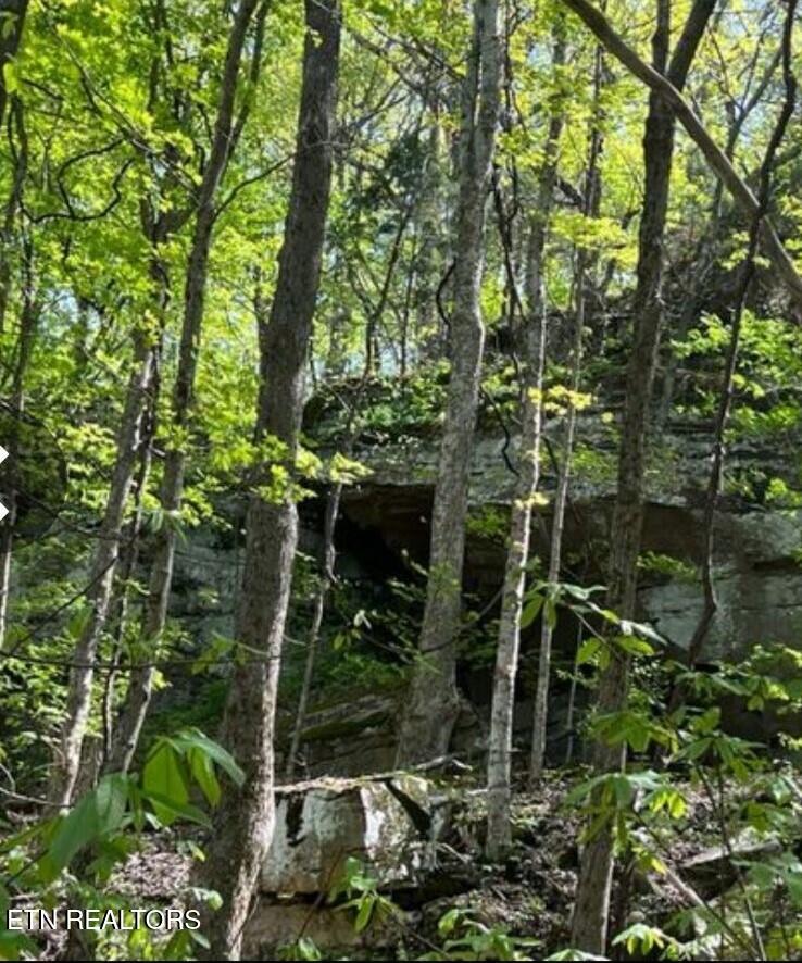 95.43 Acre Sheep Bluff Rd Property Photo 2