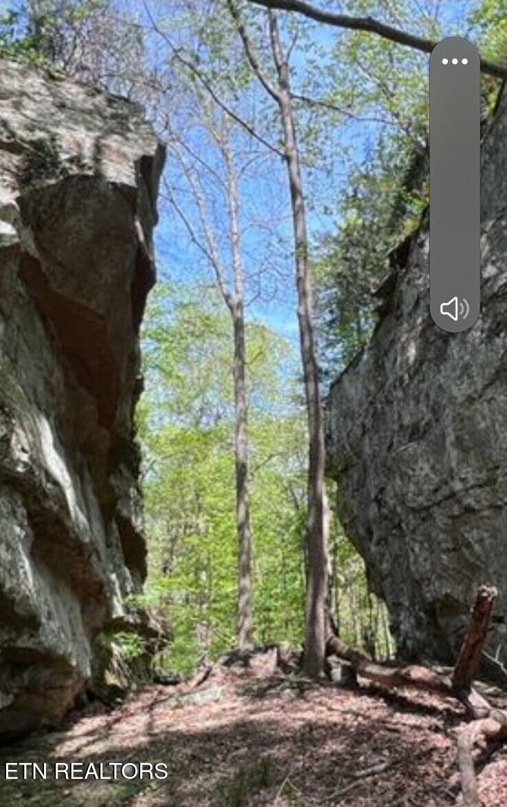95.43 Acre Sheep Bluff Rd Property Photo 3