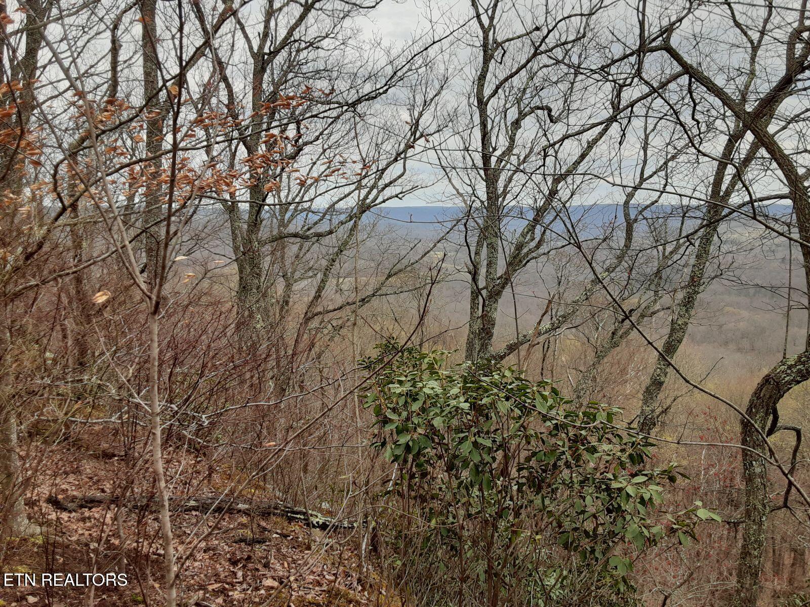 95.43 Acre Sheep Bluff Rd Property Photo 4