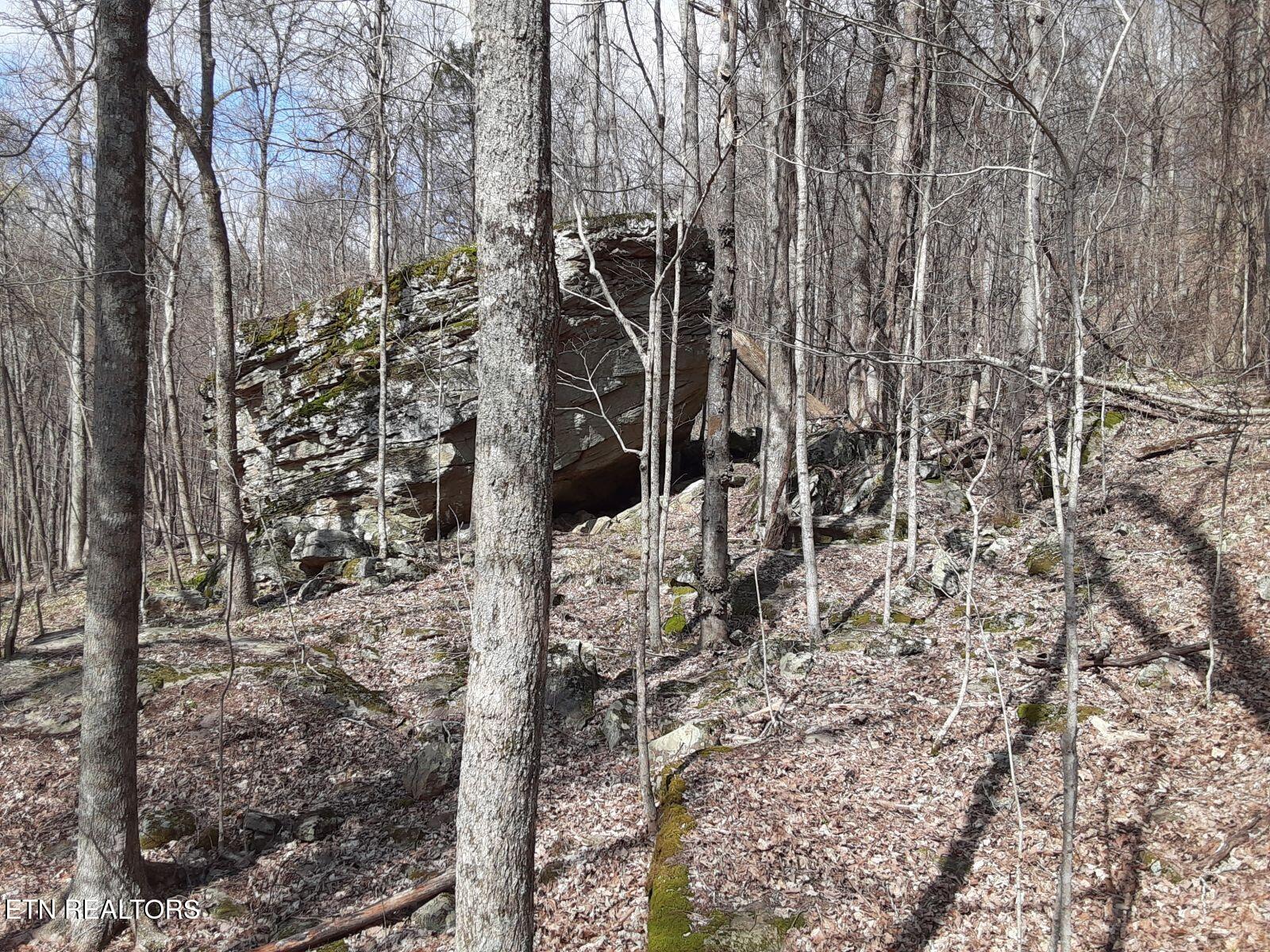 95.43 Acre Sheep Bluff Rd Property Photo 5