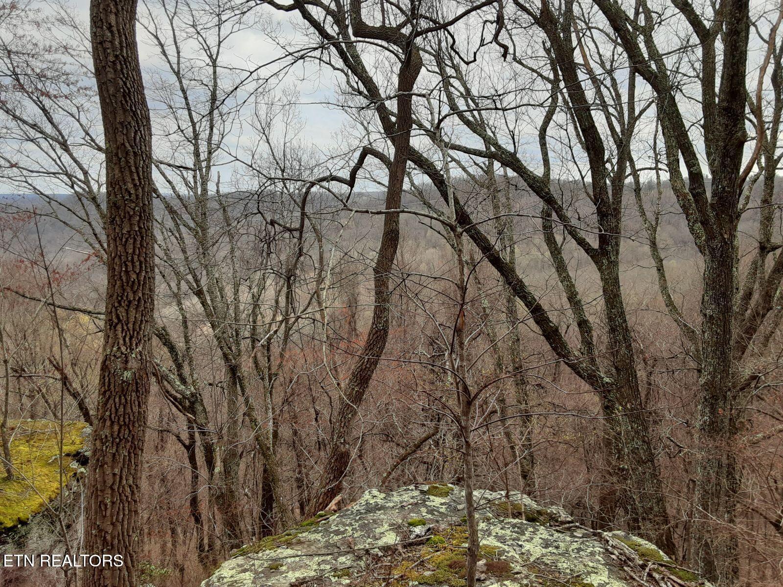 95.43 Acre Sheep Bluff Rd Property Photo 9