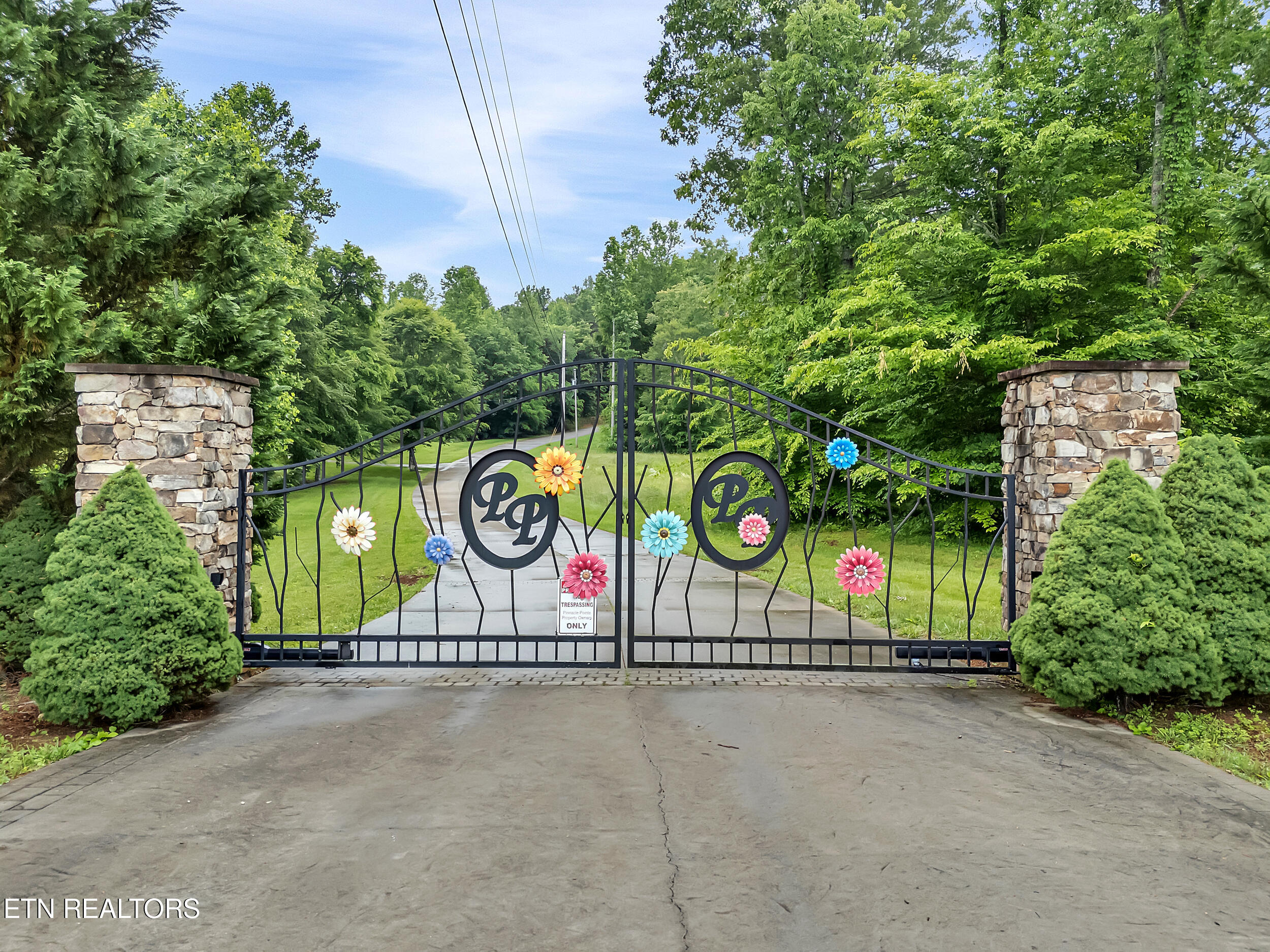 98 Pinnacle Pointe Way Property Photo 1