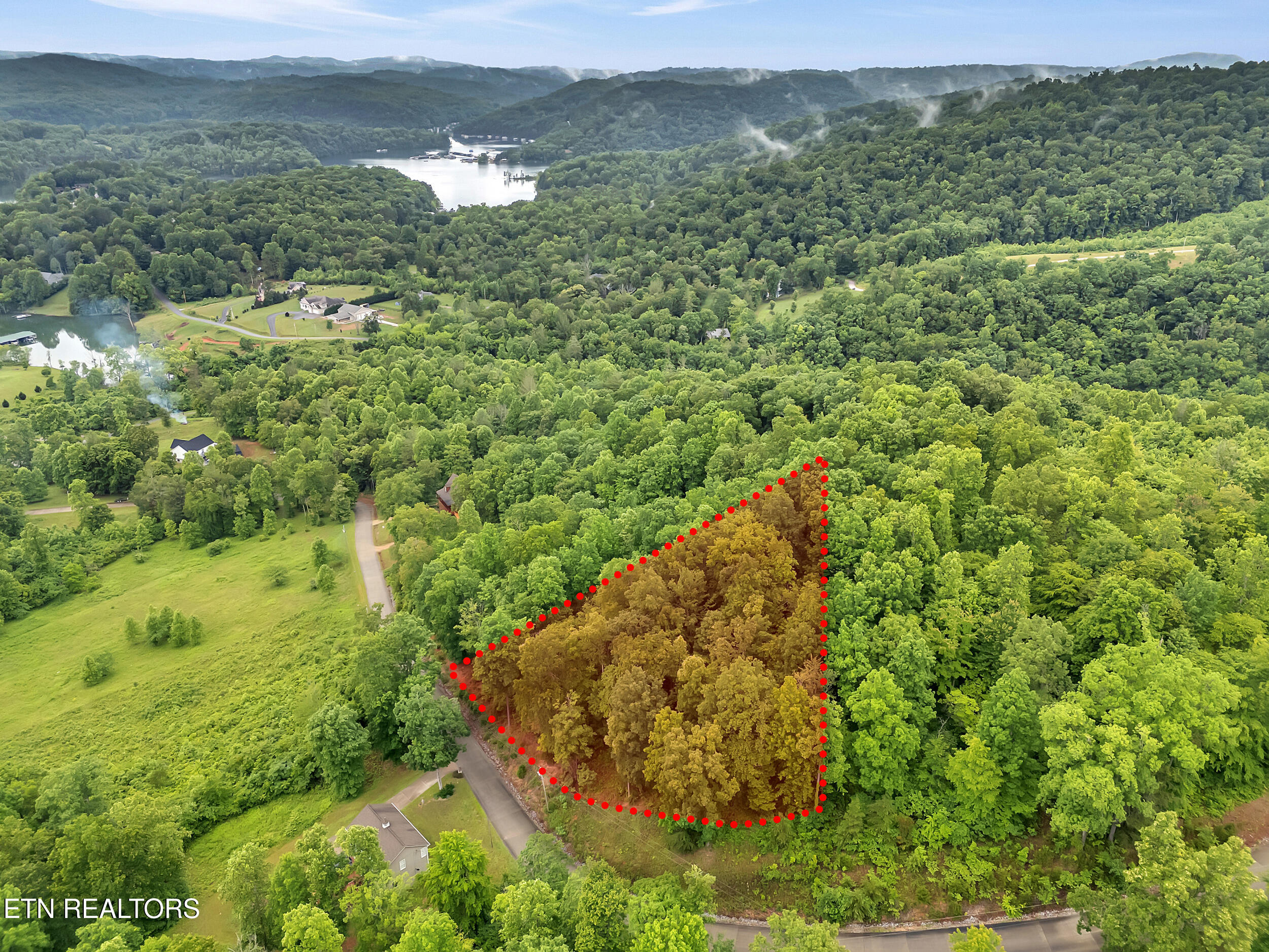 98 Pinnacle Pointe Way Property Photo 3