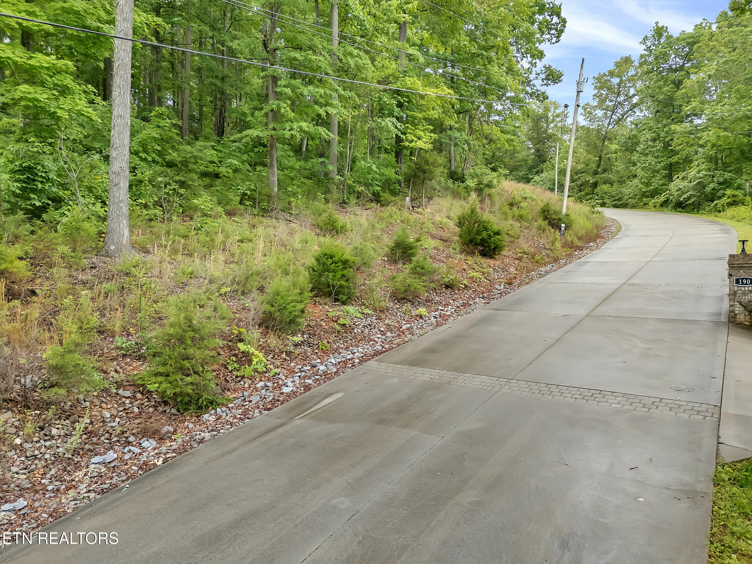 98 Pinnacle Pointe Way Property Photo 7