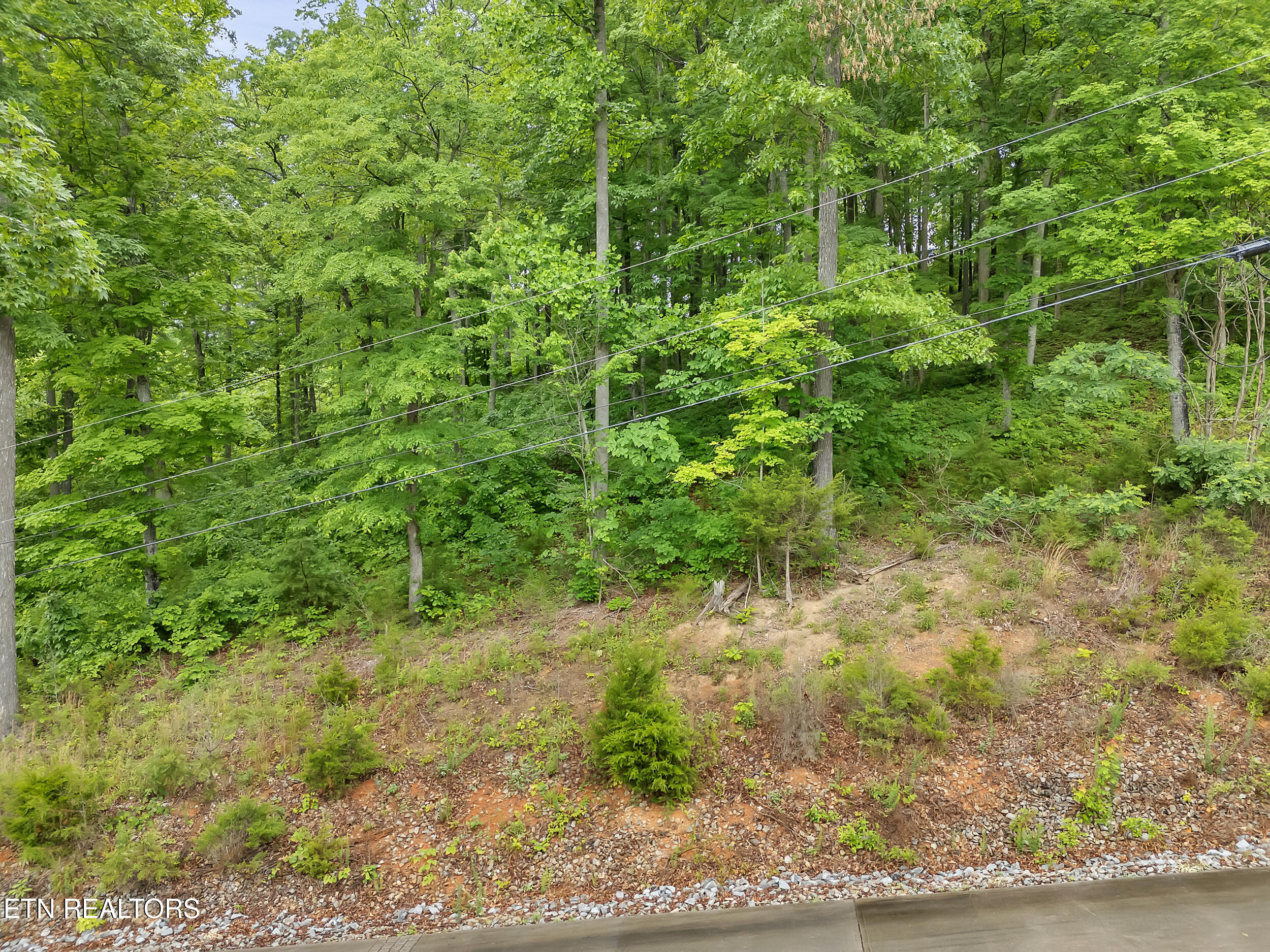 98 Pinnacle Pointe Way Property Photo 8