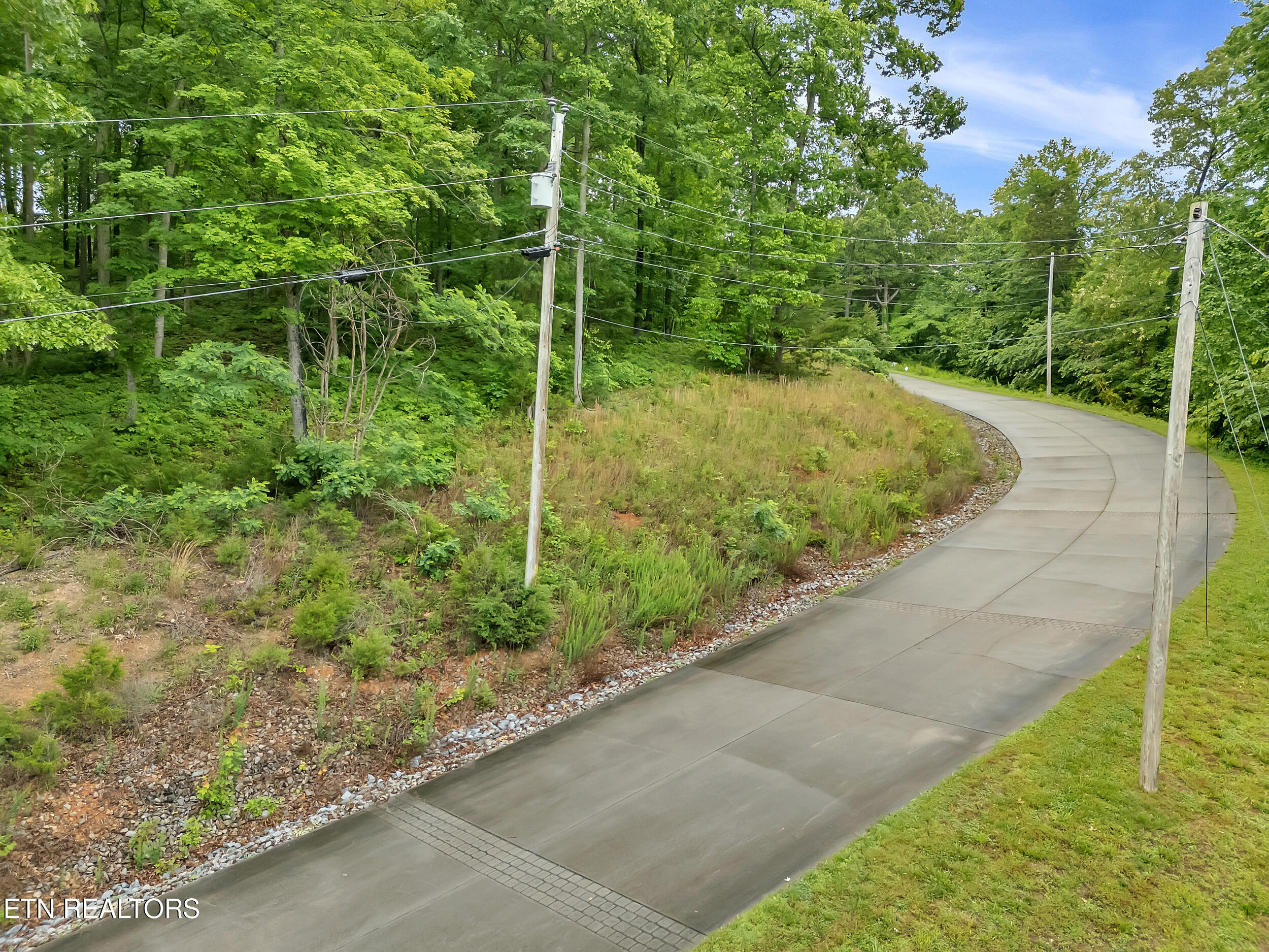 98 Pinnacle Pointe Way Property Photo 9