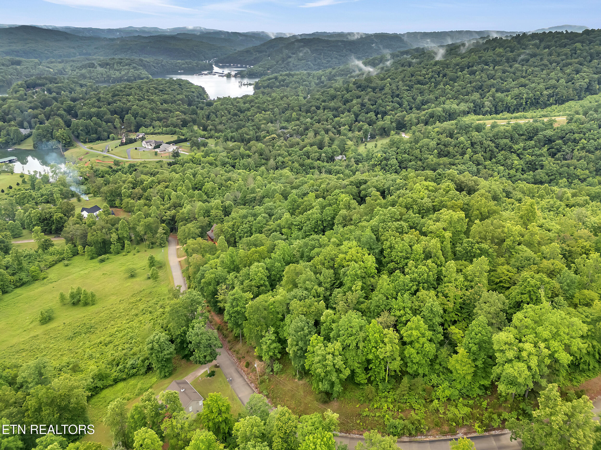 98 Pinnacle Pointe Way Property Photo 12