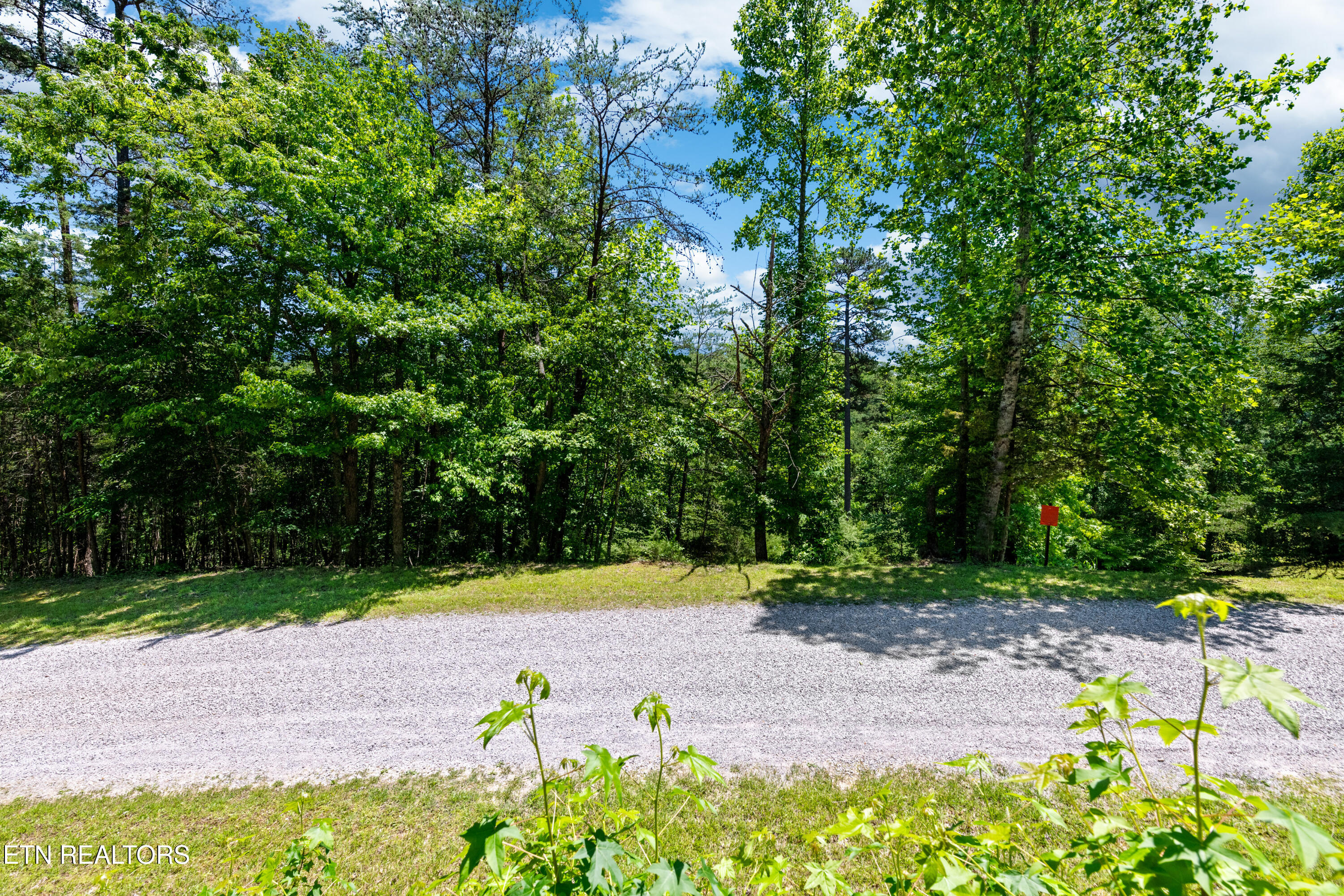 Lot 15 Black Fox Harbor Rd Property Photo 4