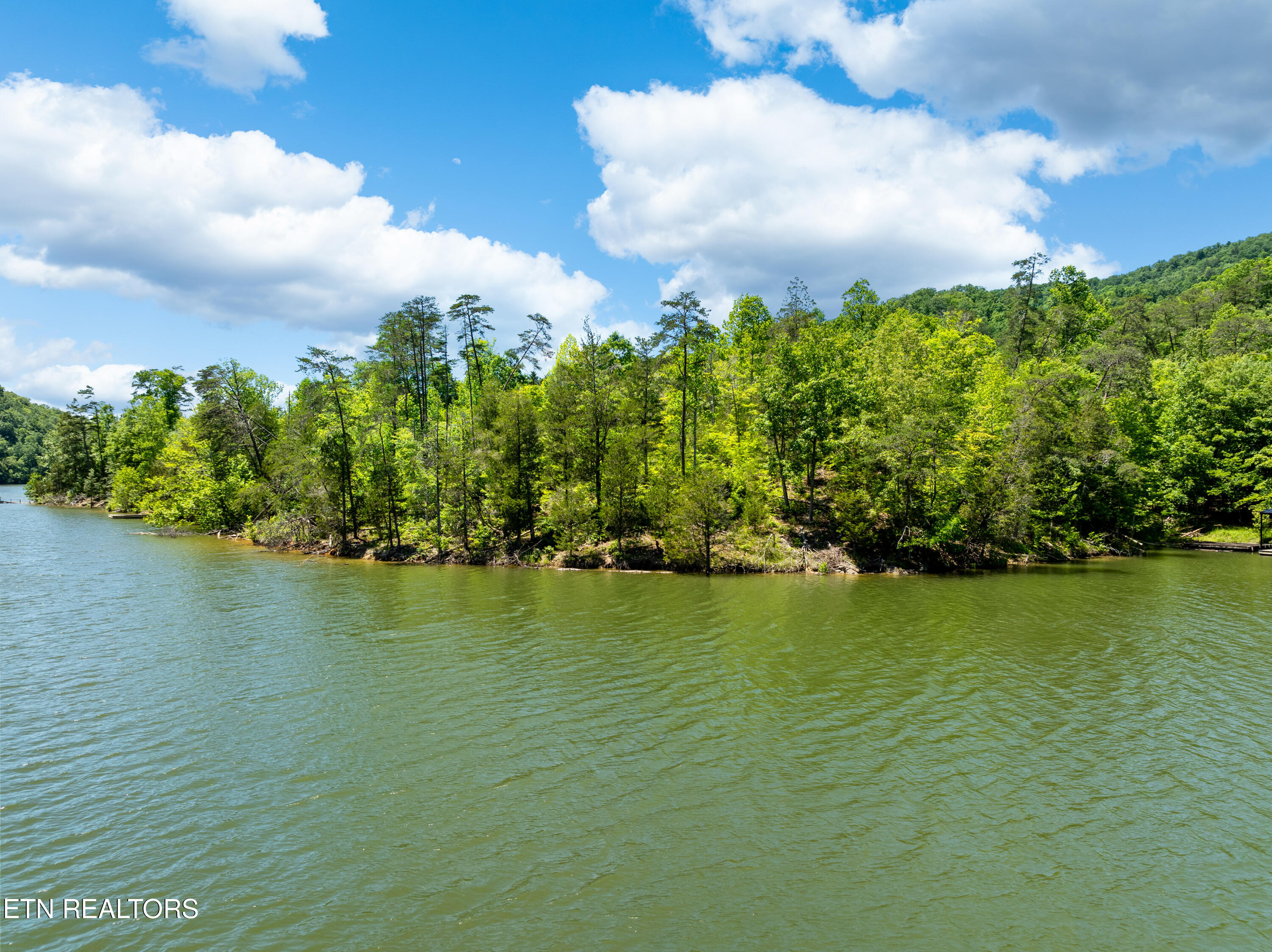 Lot 15 Black Fox Harbor Rd Property Photo 6