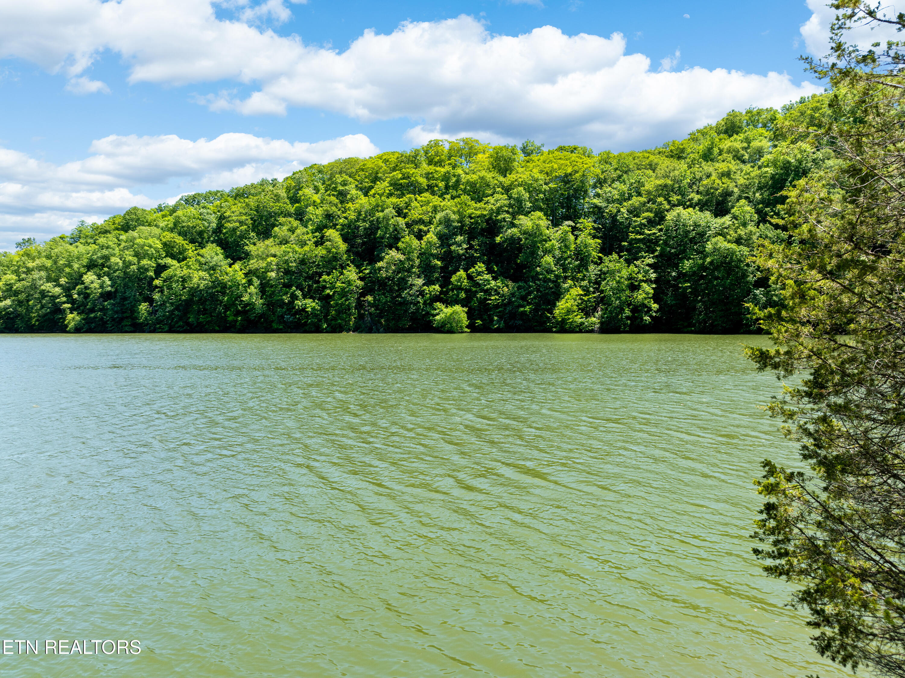 Lot 15 Black Fox Harbor Rd Property Photo 7