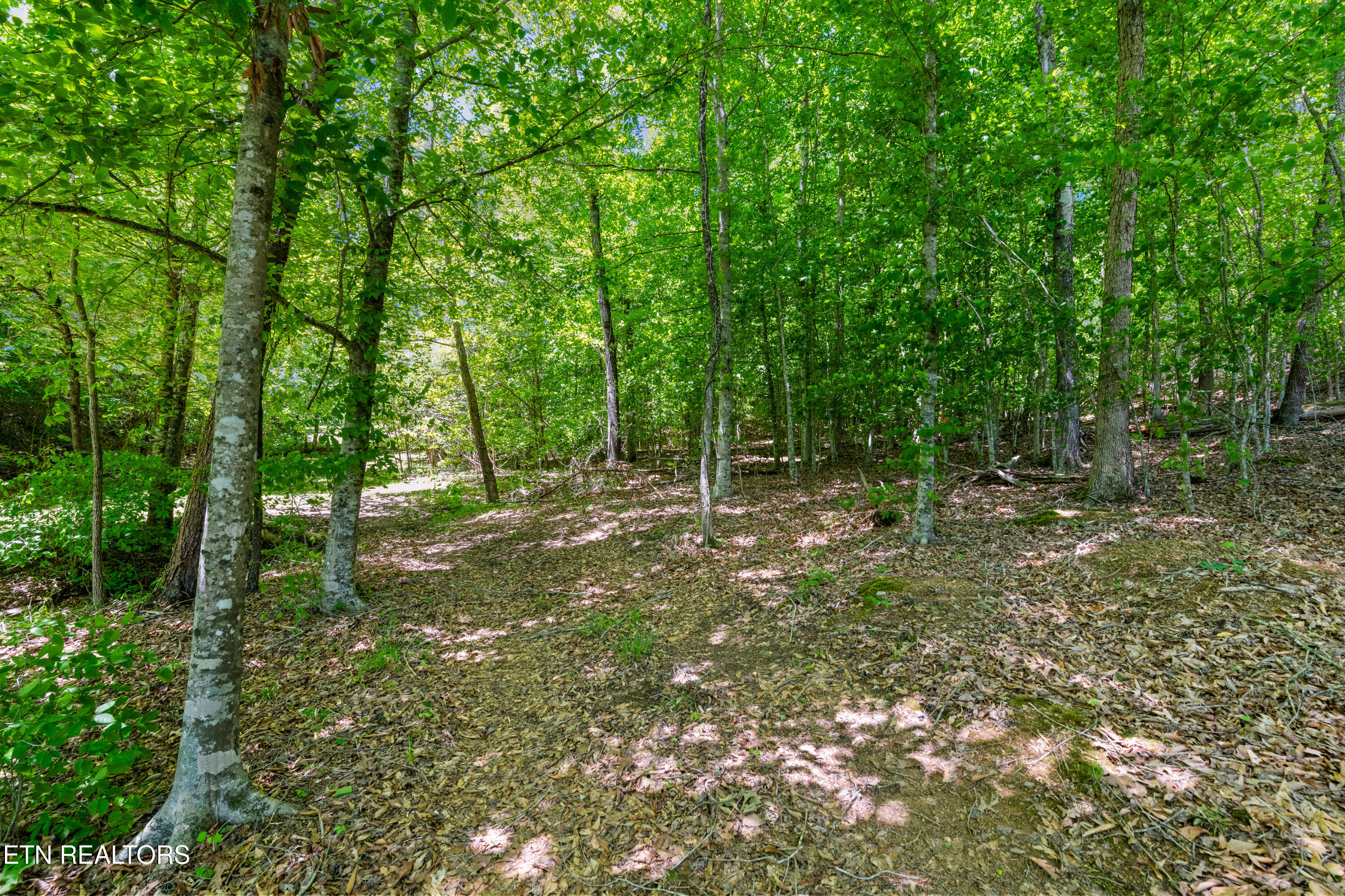 Lot 15 Black Fox Harbor Rd Property Photo 10