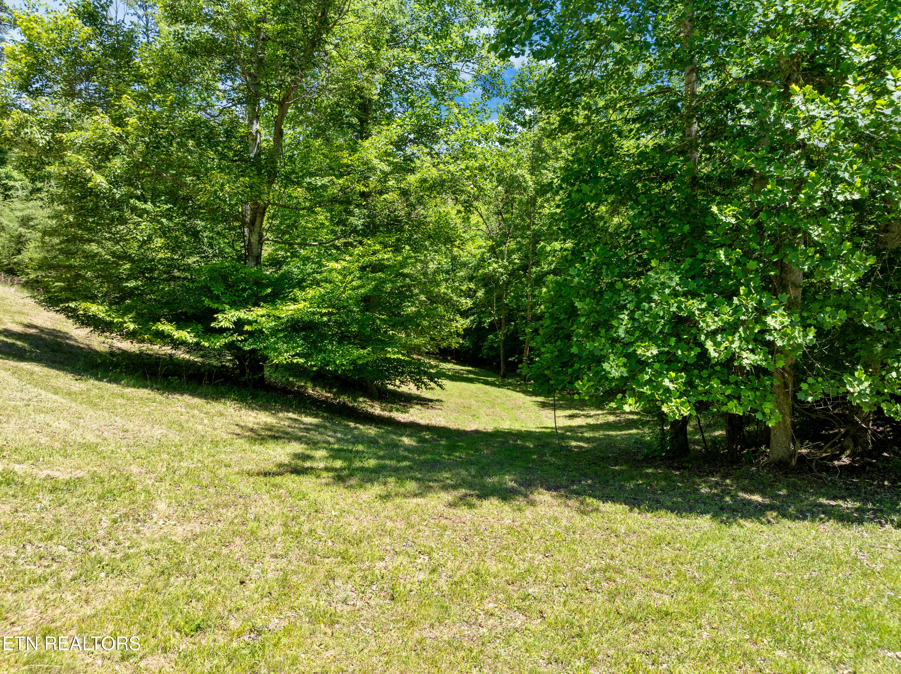 Lot 15 Black Fox Harbor Rd Property Photo 22