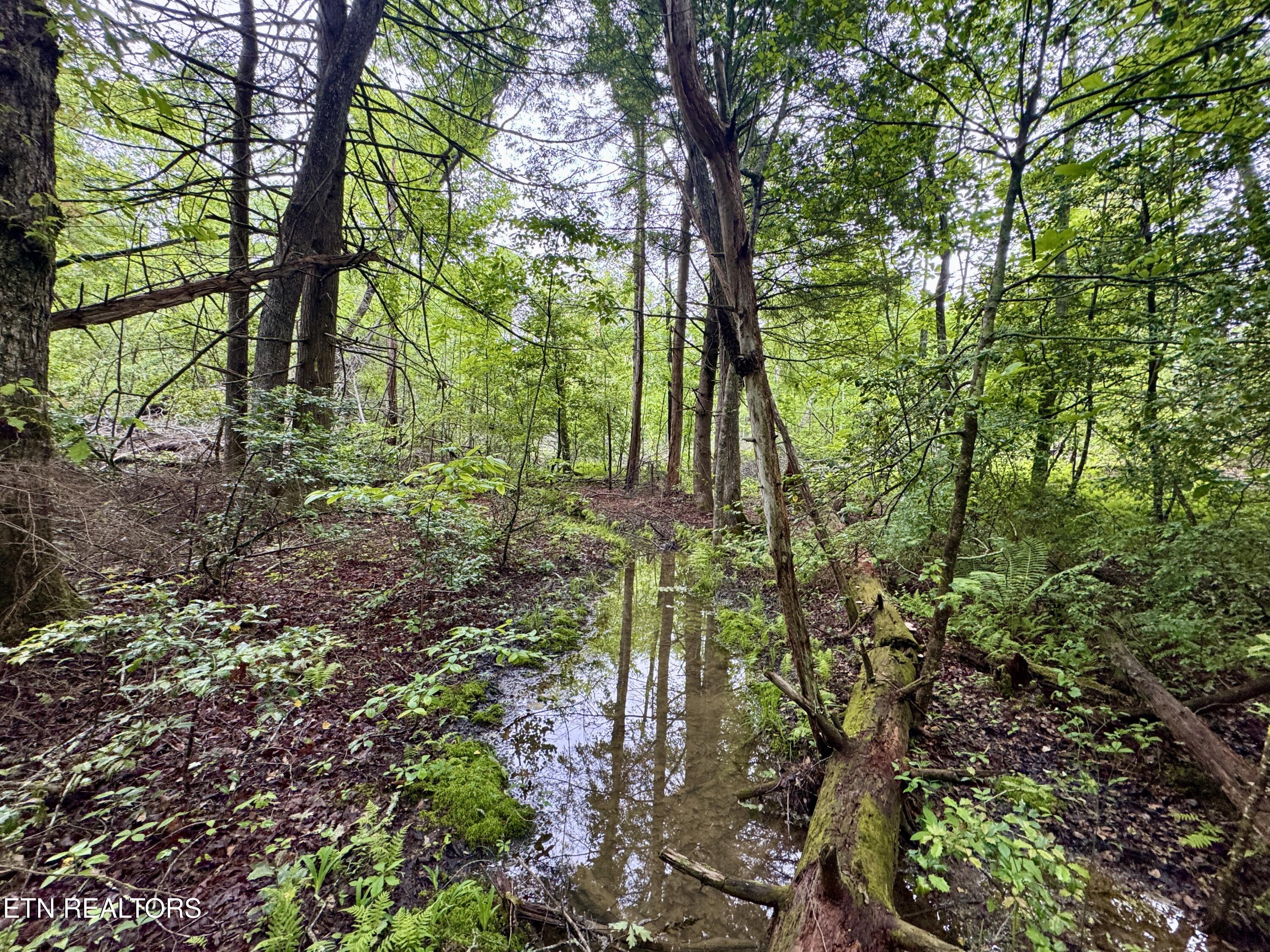 Abe Lane Property Photo