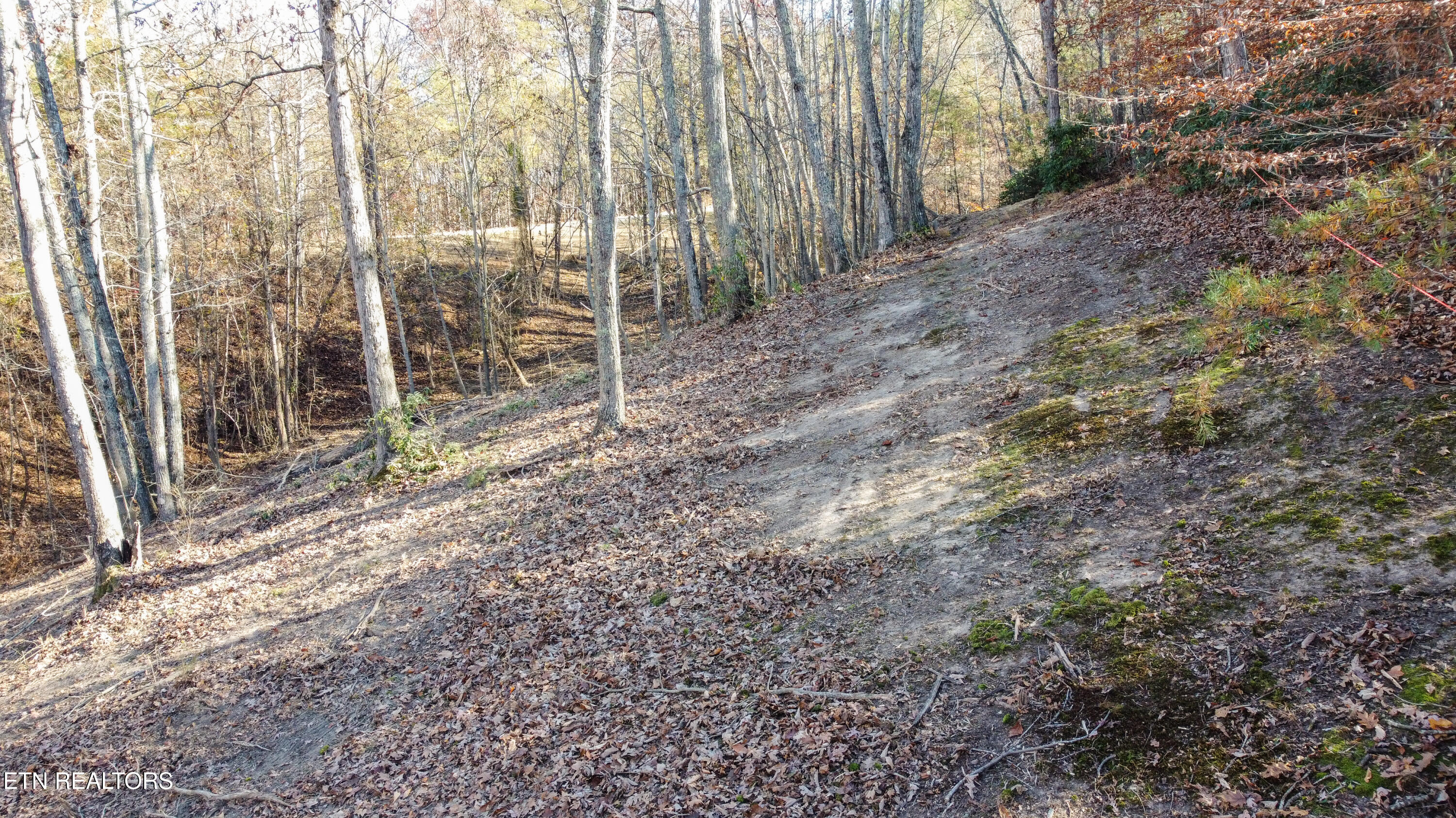Lot 75 Turkey Ridge Rd Property Photo 3