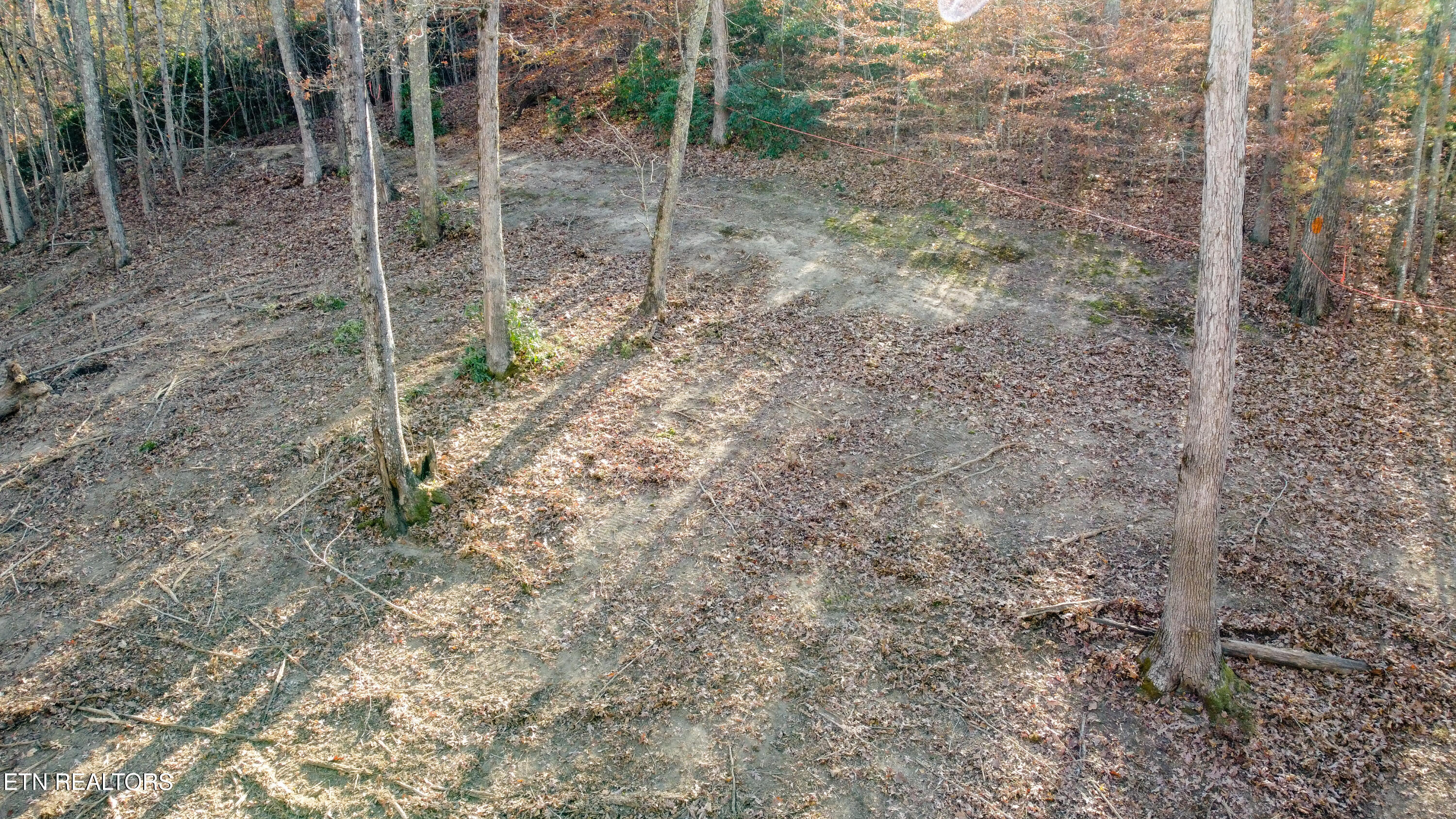 Lot 75 Turkey Ridge Rd Property Photo 4