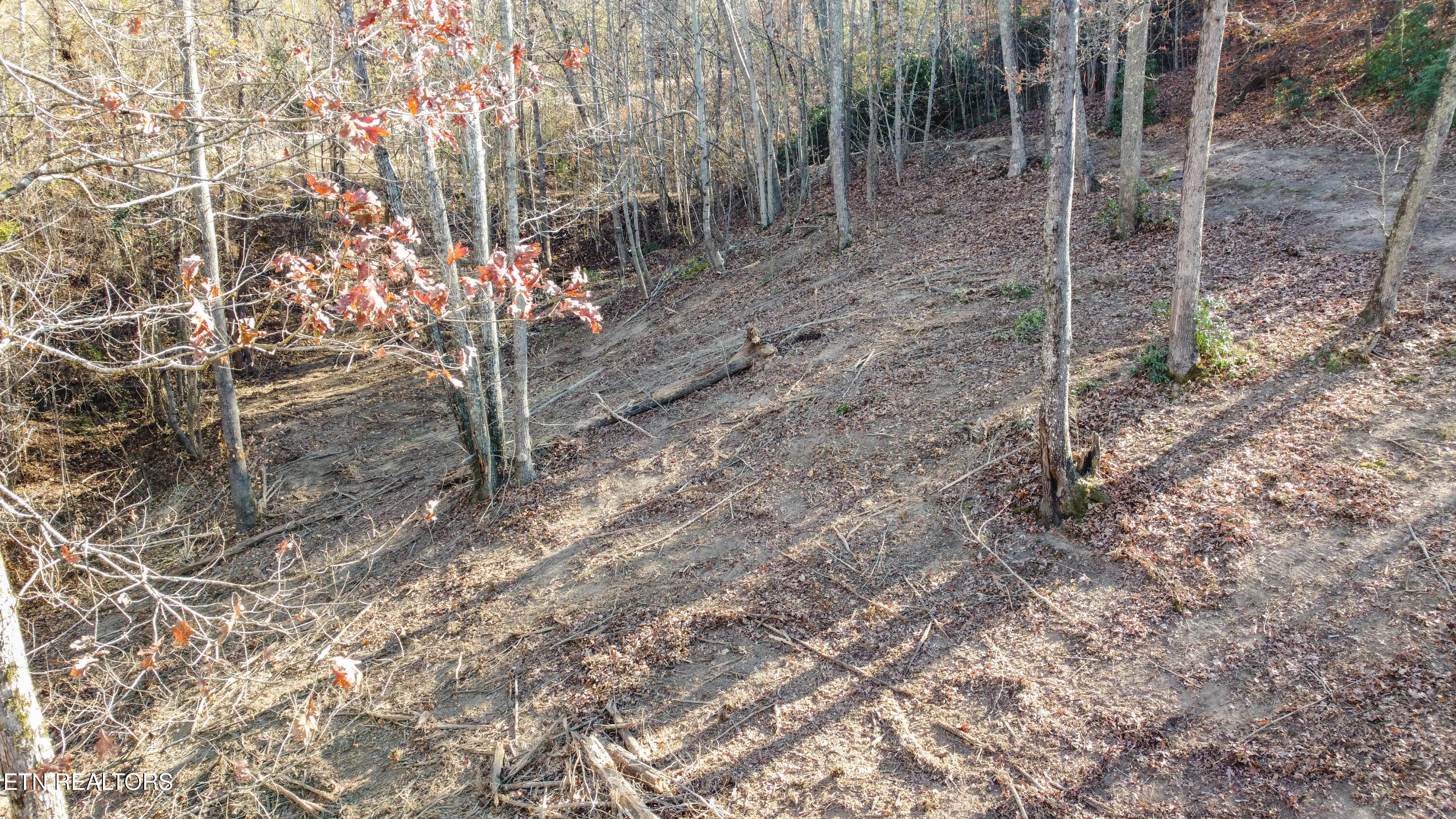 Lot 75 Turkey Ridge Rd Property Photo 5