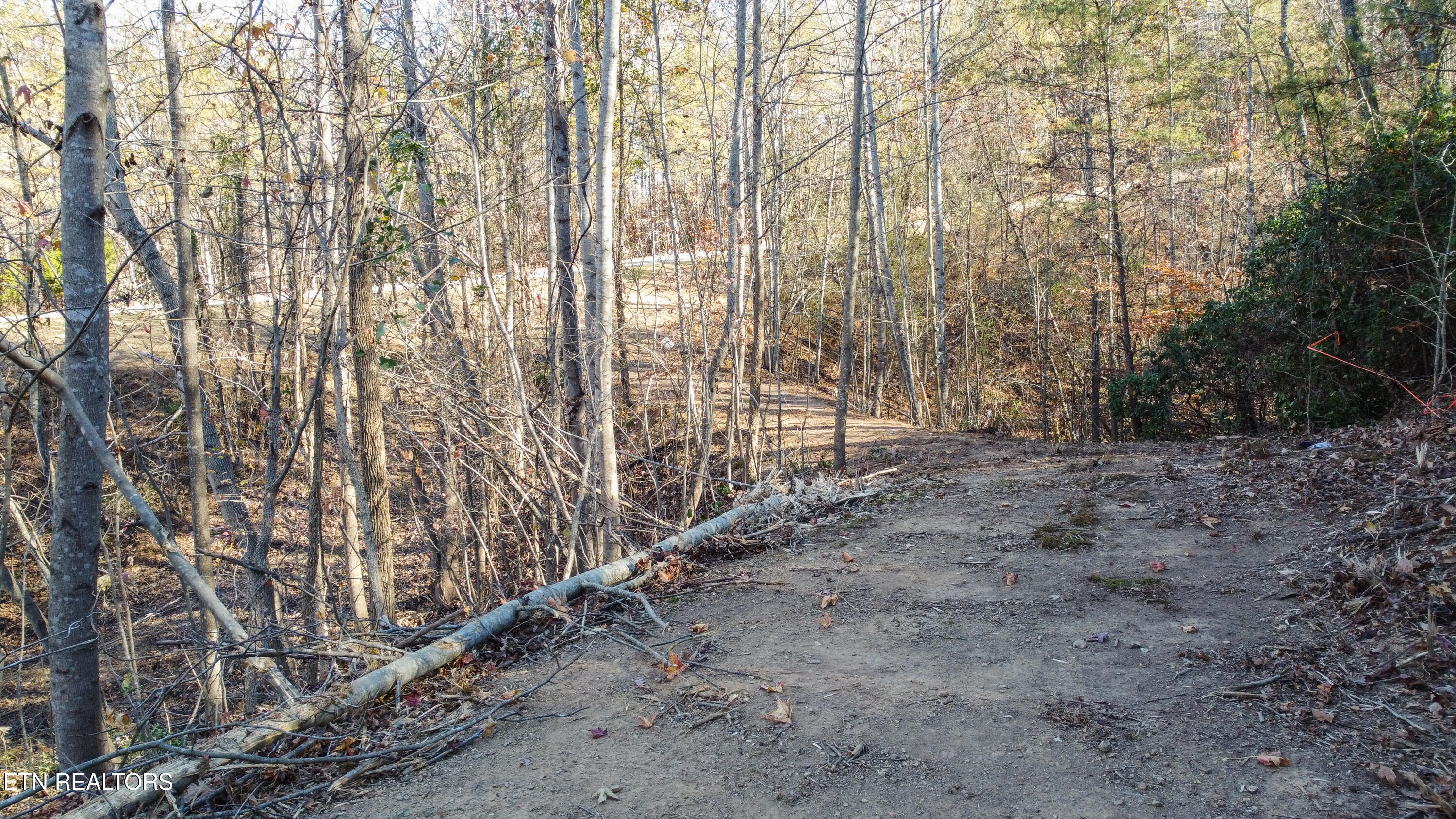Lot 75 Turkey Ridge Rd Property Photo 6