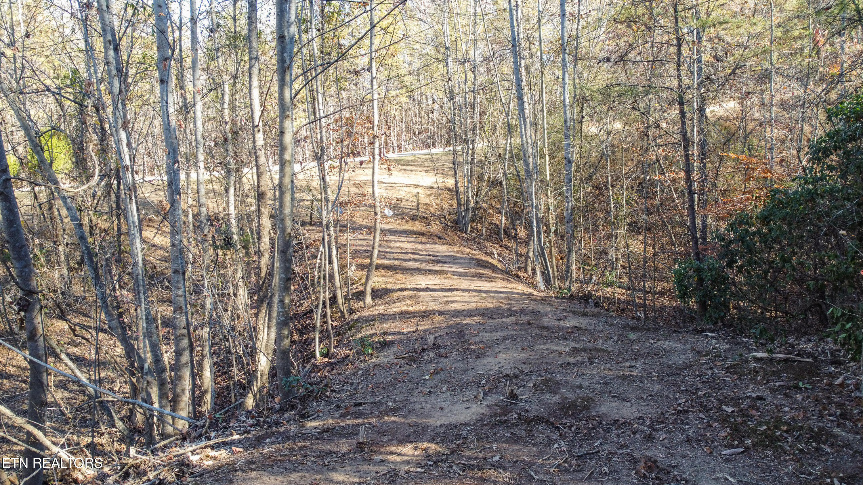 Lot 75 Turkey Ridge Rd Property Photo 7