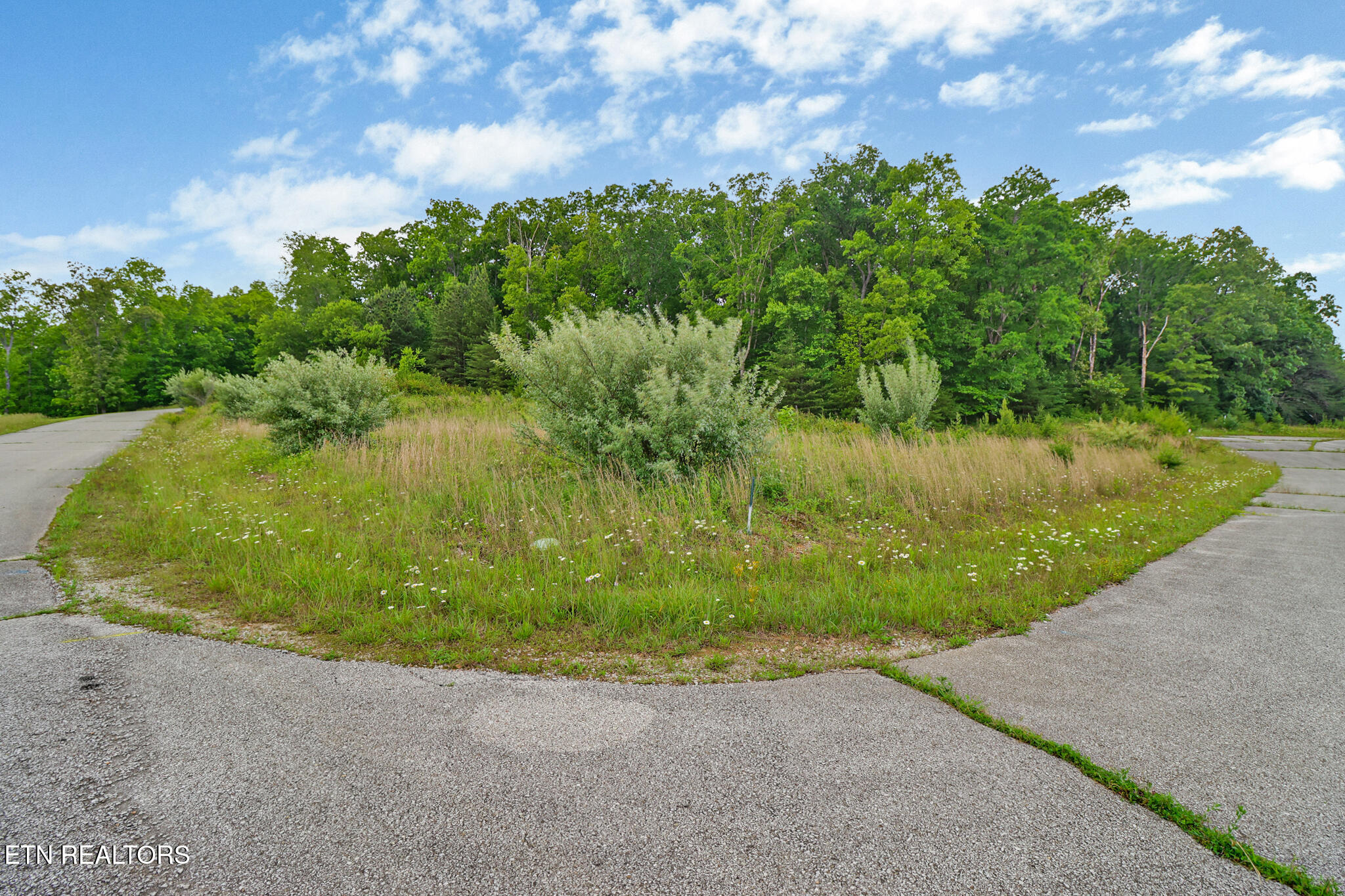 York Circle Property Photo 10