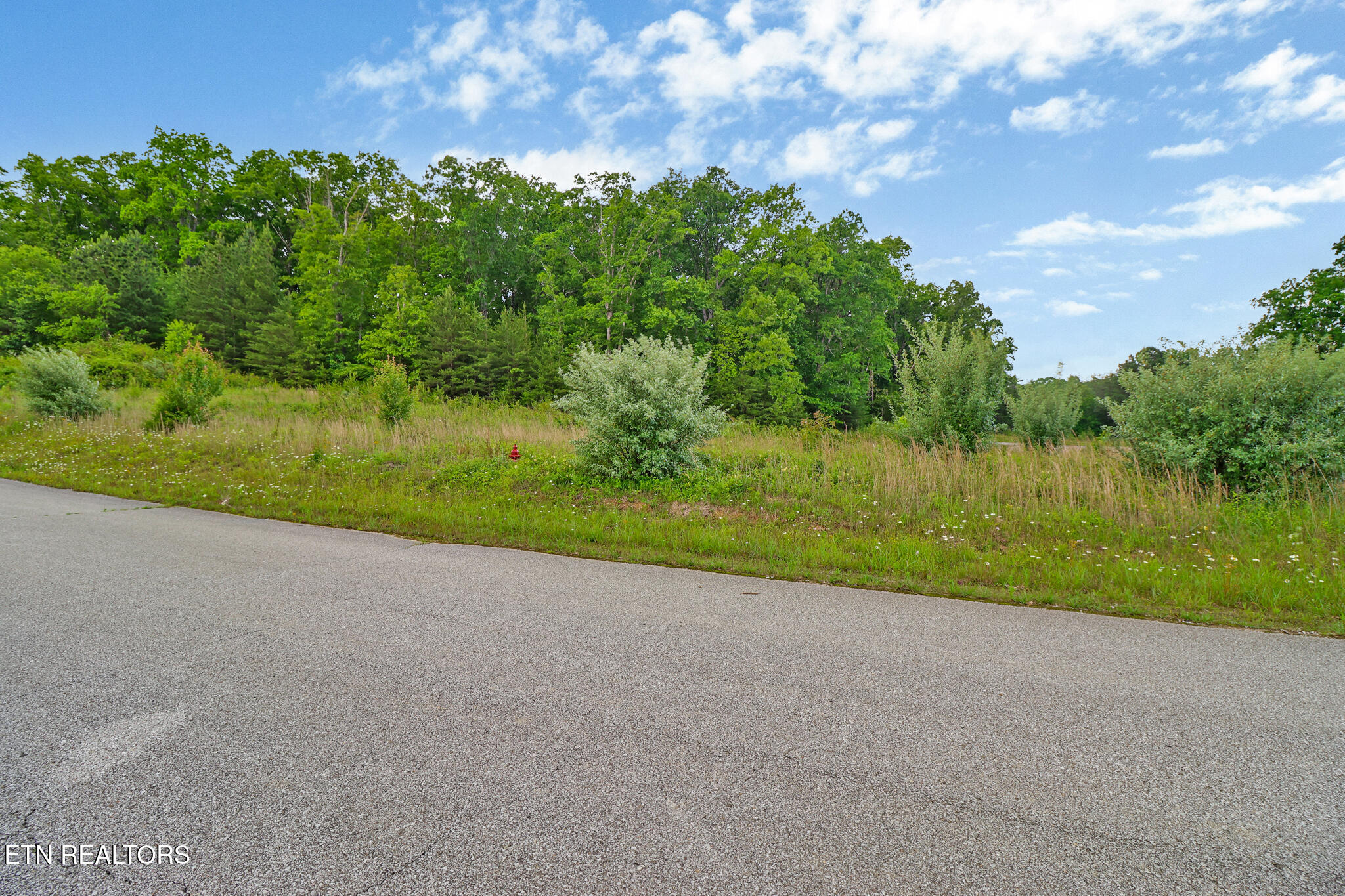 York Circle Property Photo 11
