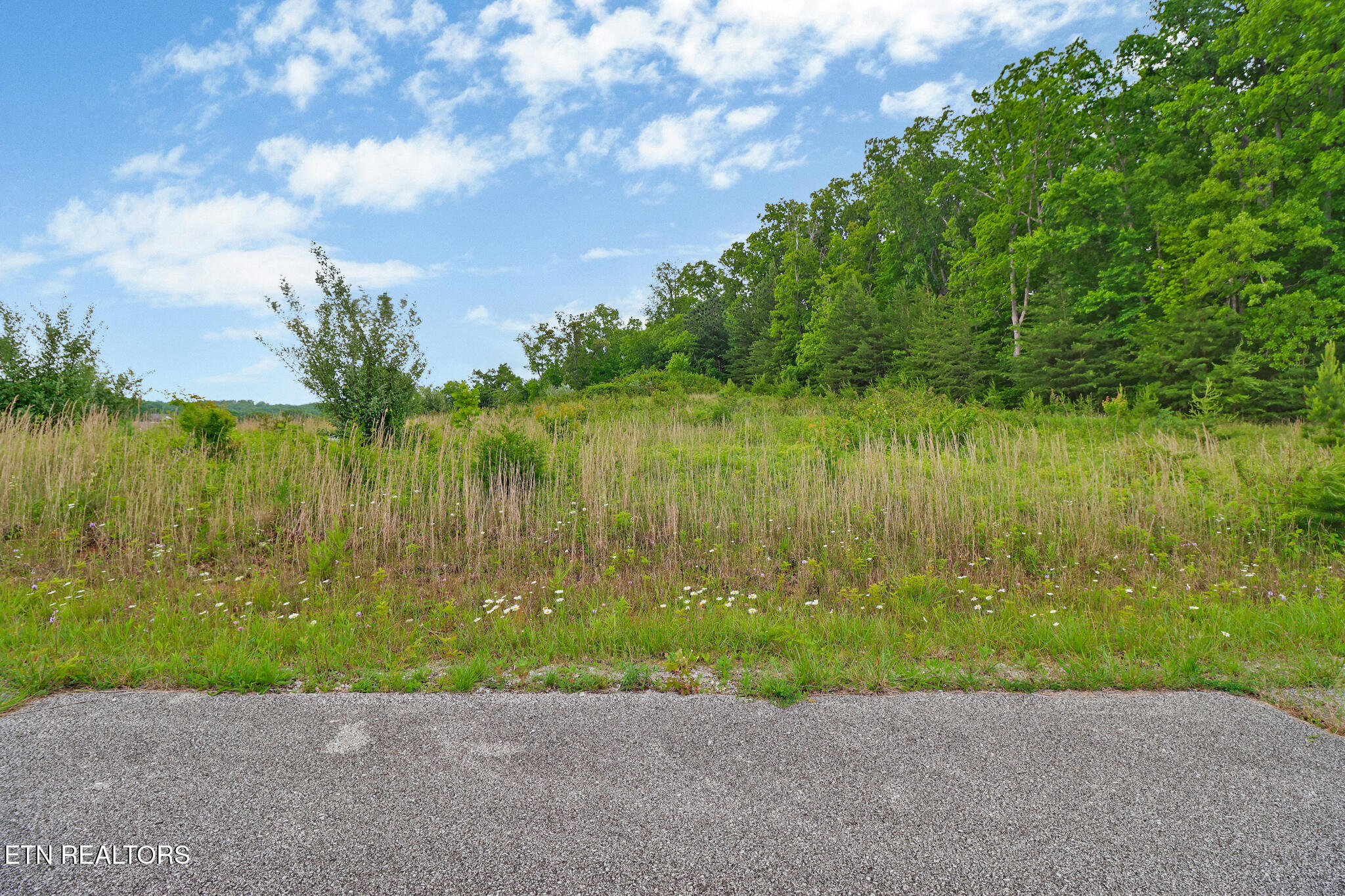 York Circle Property Photo 12