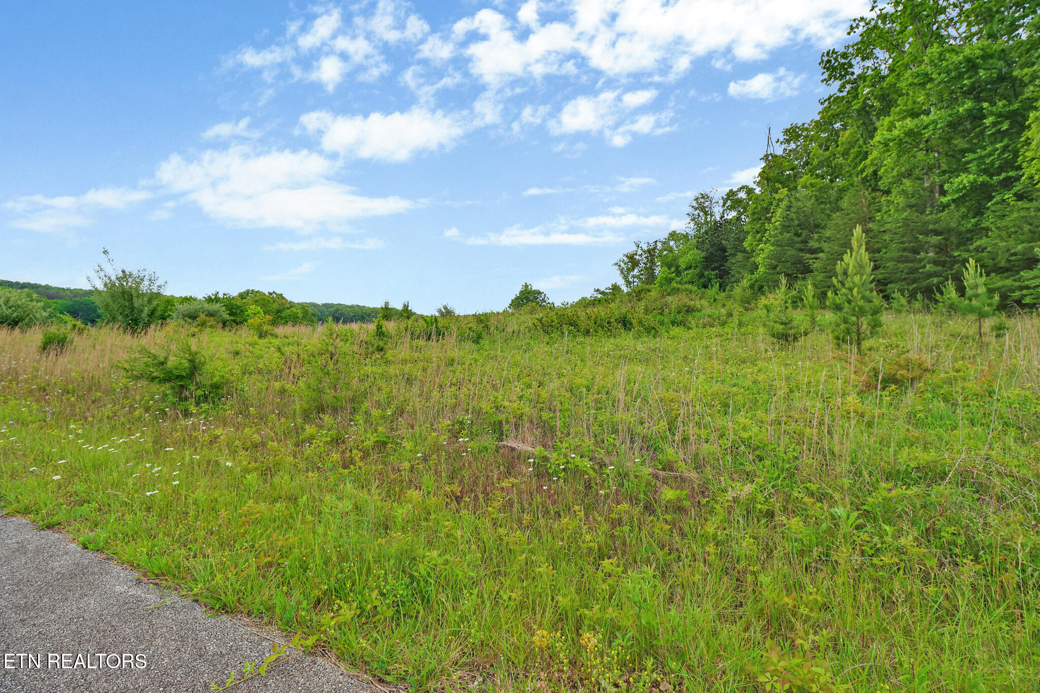 York Circle Property Photo 13