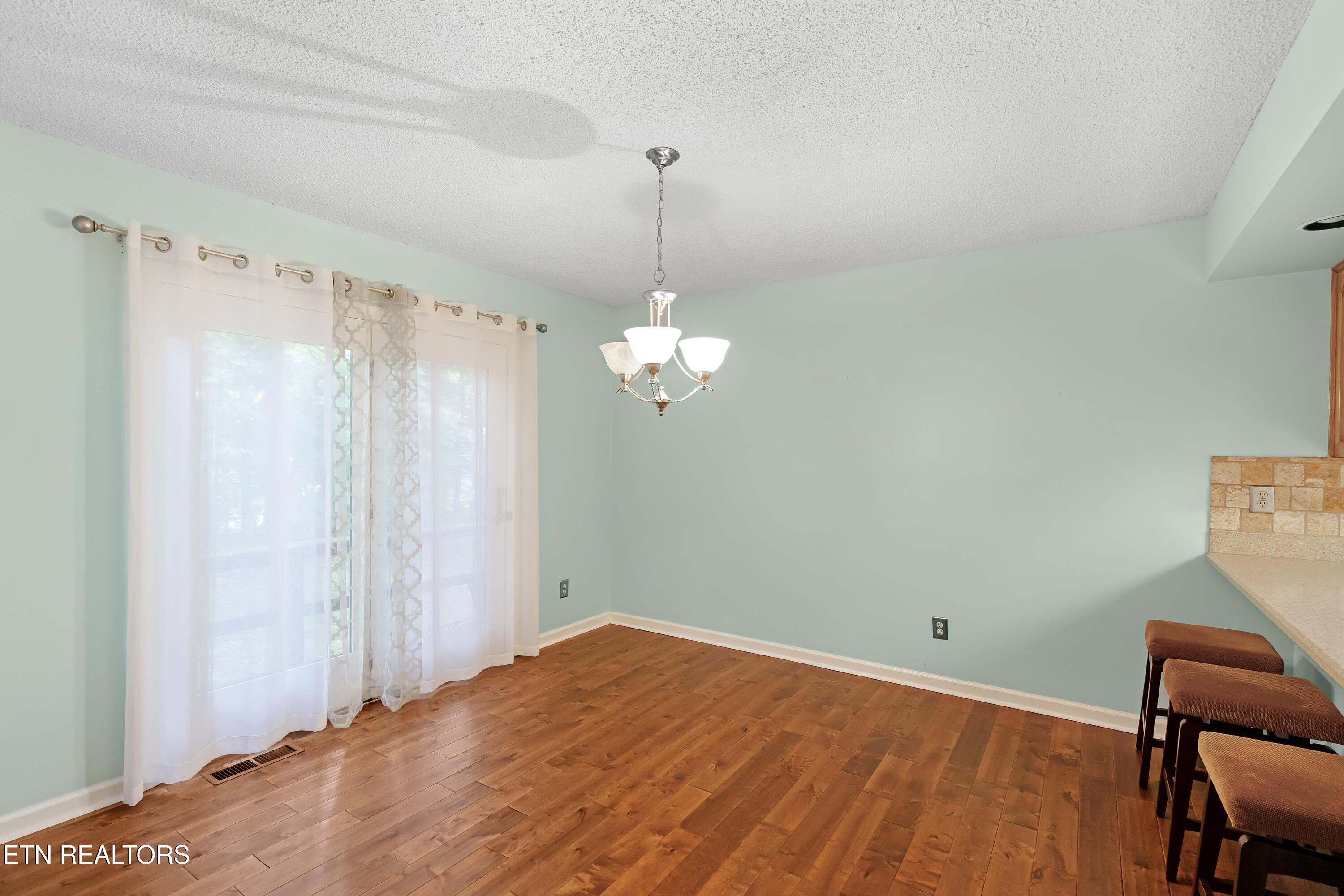 206 Cheeskogili Lane Property Photo 6