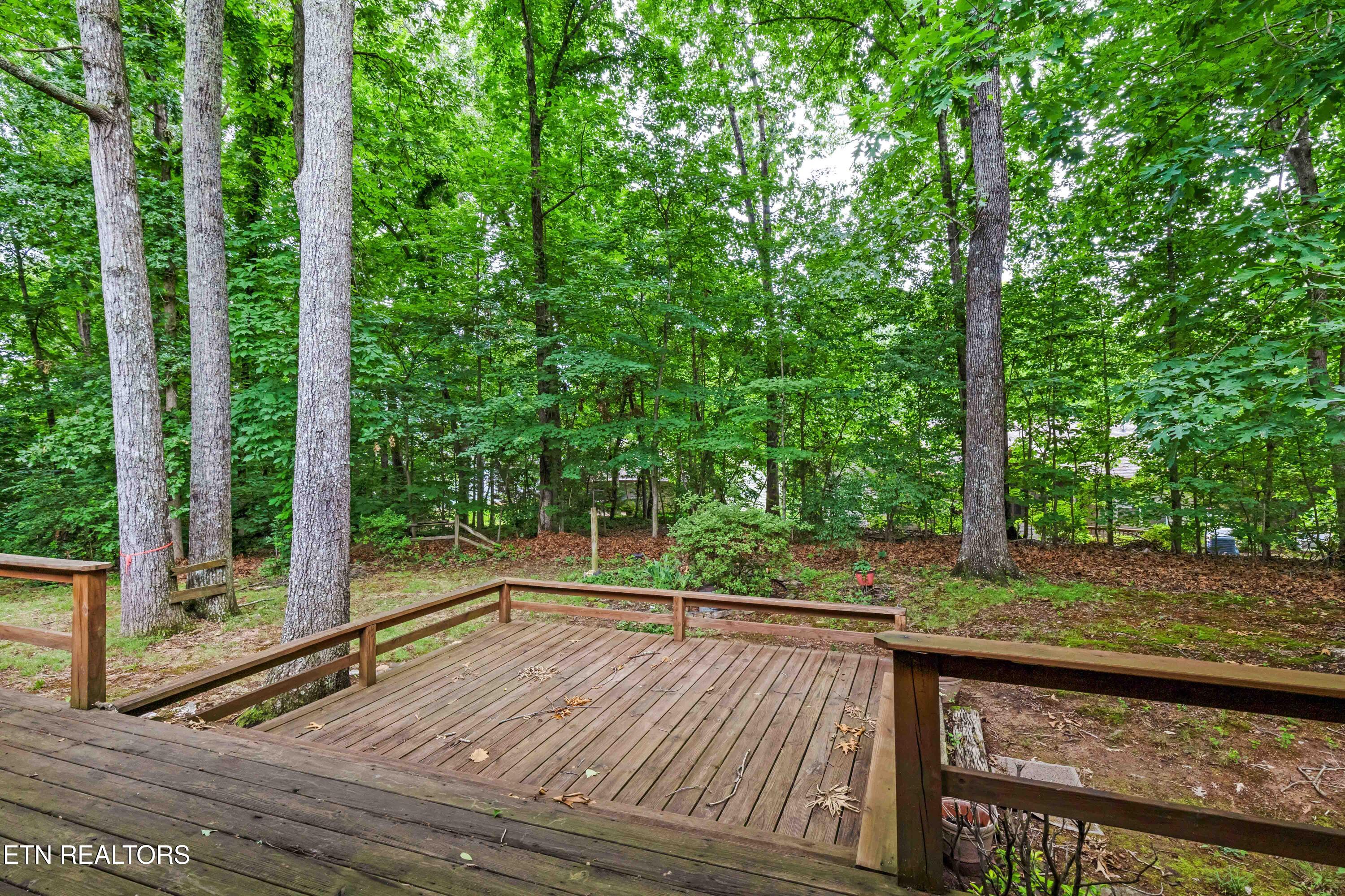 206 Cheeskogili Lane Property Photo 22