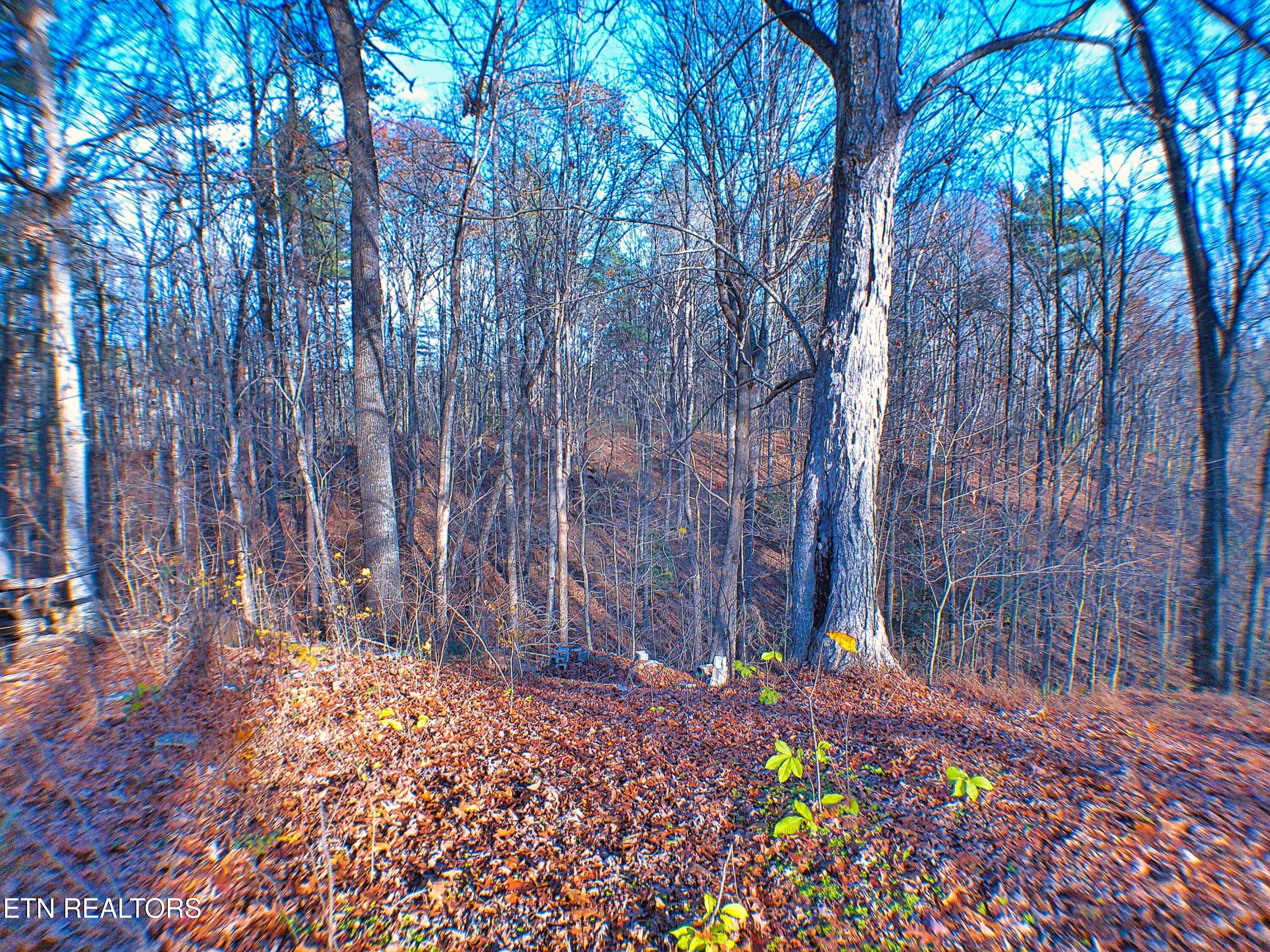 1070 Chestnut Ridge Rd Property Photo 8