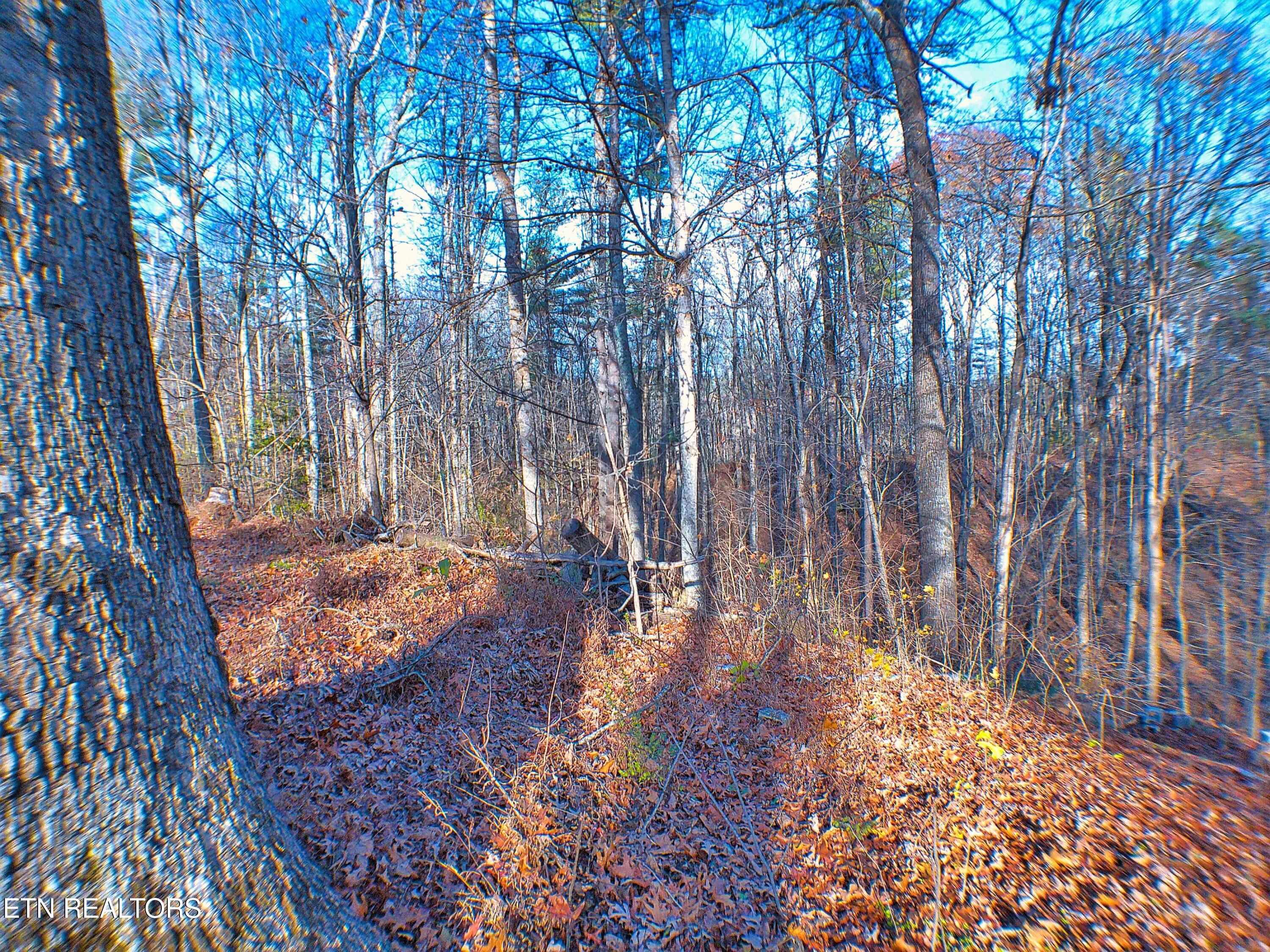 1070 Chestnut Ridge Rd Property Photo 9