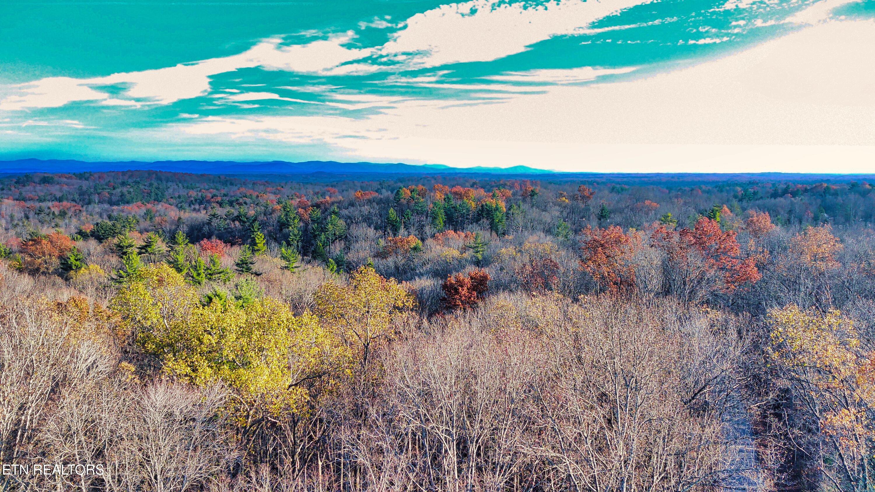 1070 Chestnut Ridge Rd Property Photo 45