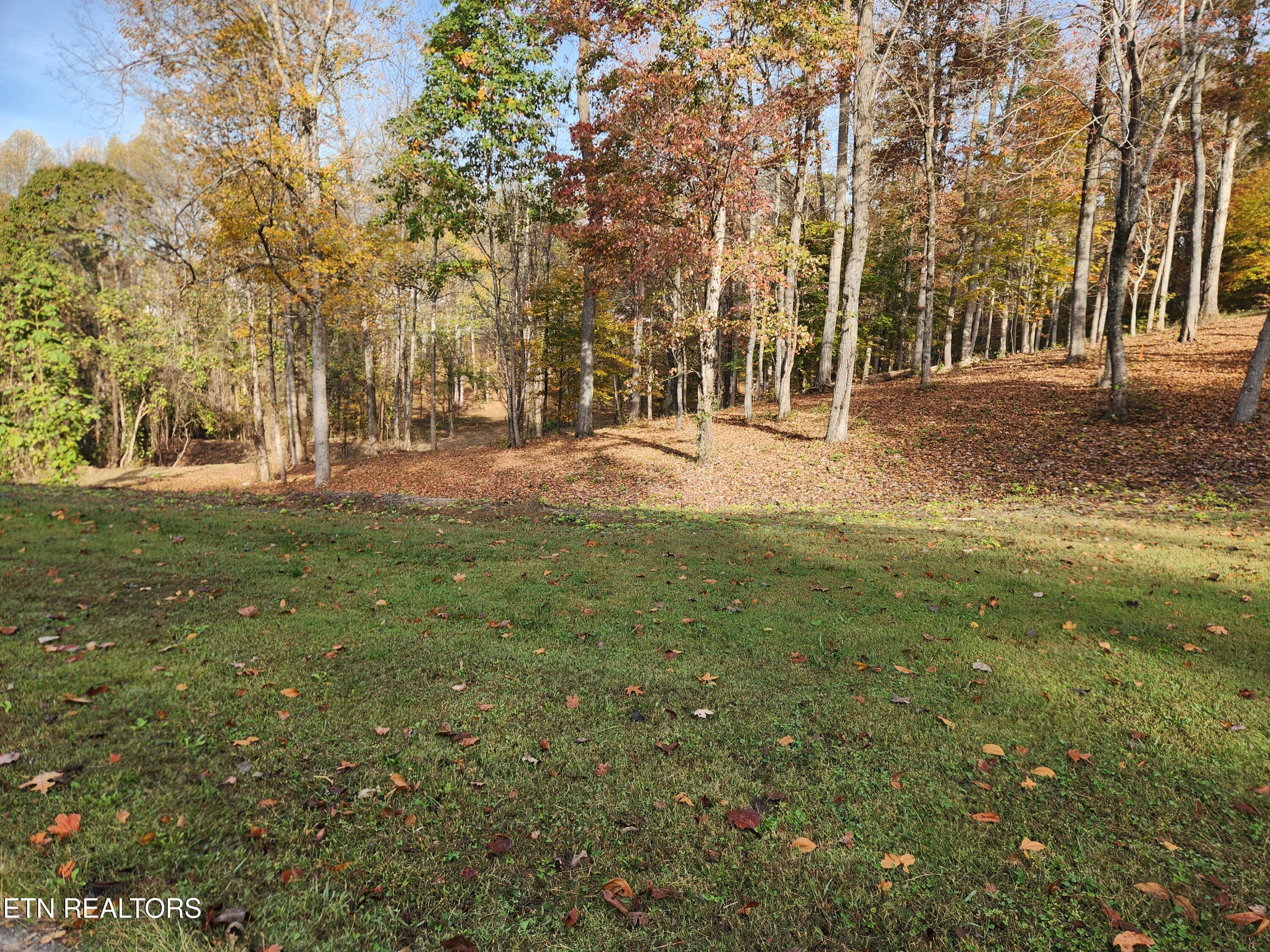 St James Lane Property Photo 1