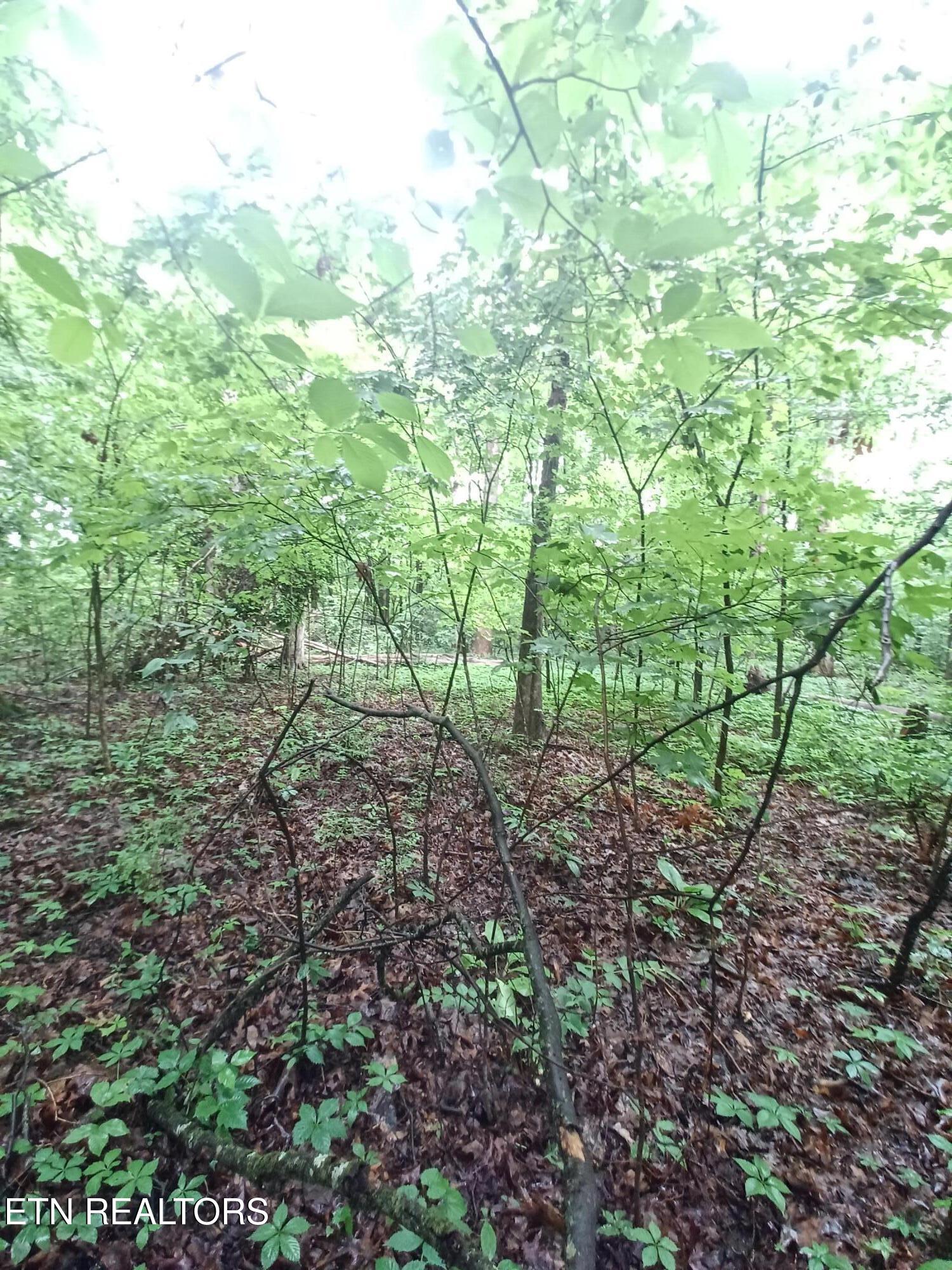 0 Huffaker Dr Off Drive Property Photo 2