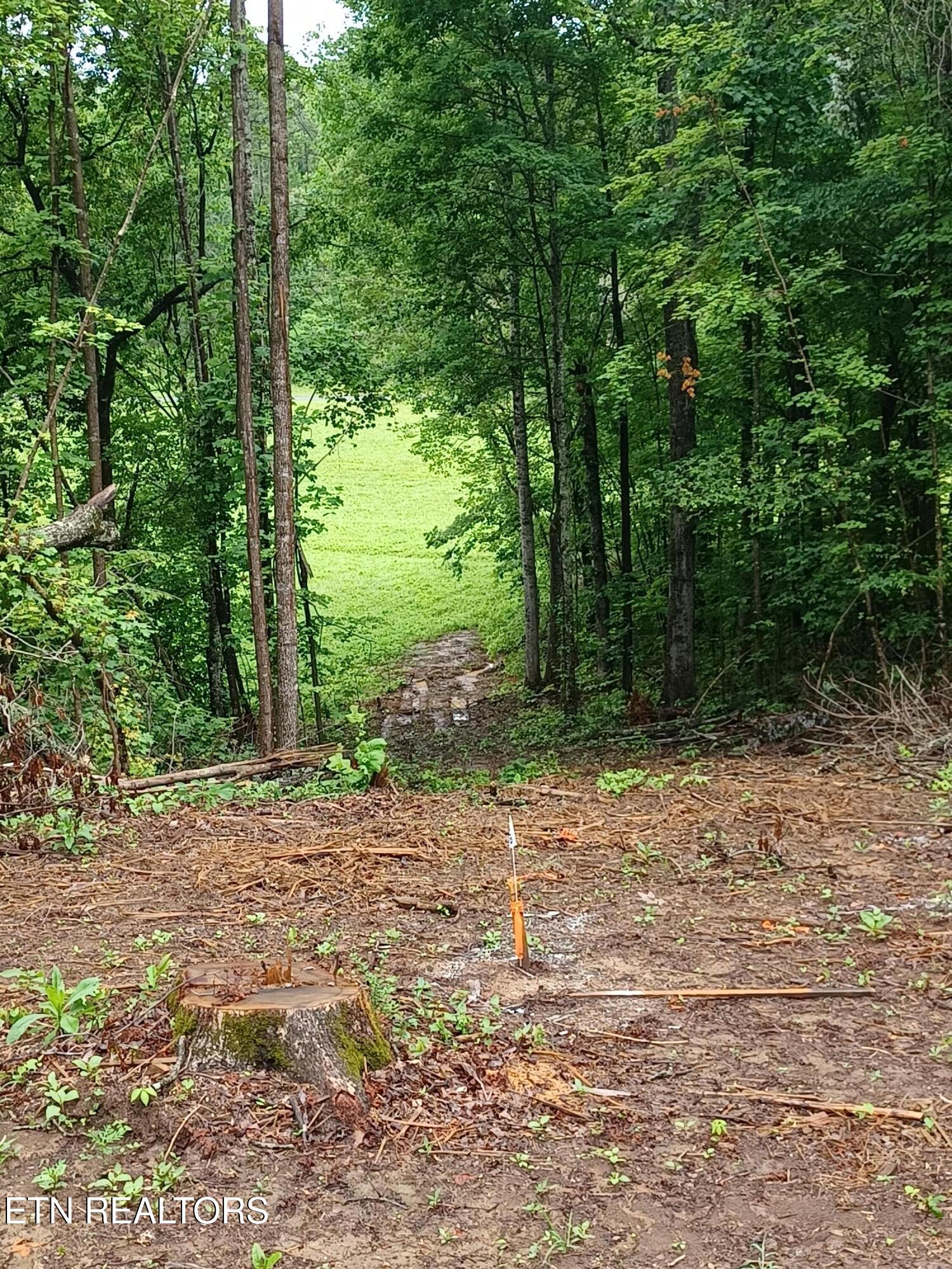 0 Huffaker Dr Off Drive Property Photo 7