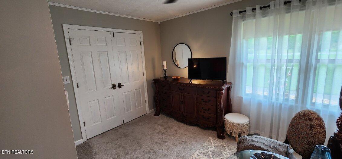1922 Chaney Ridge Rd Property Photo 21