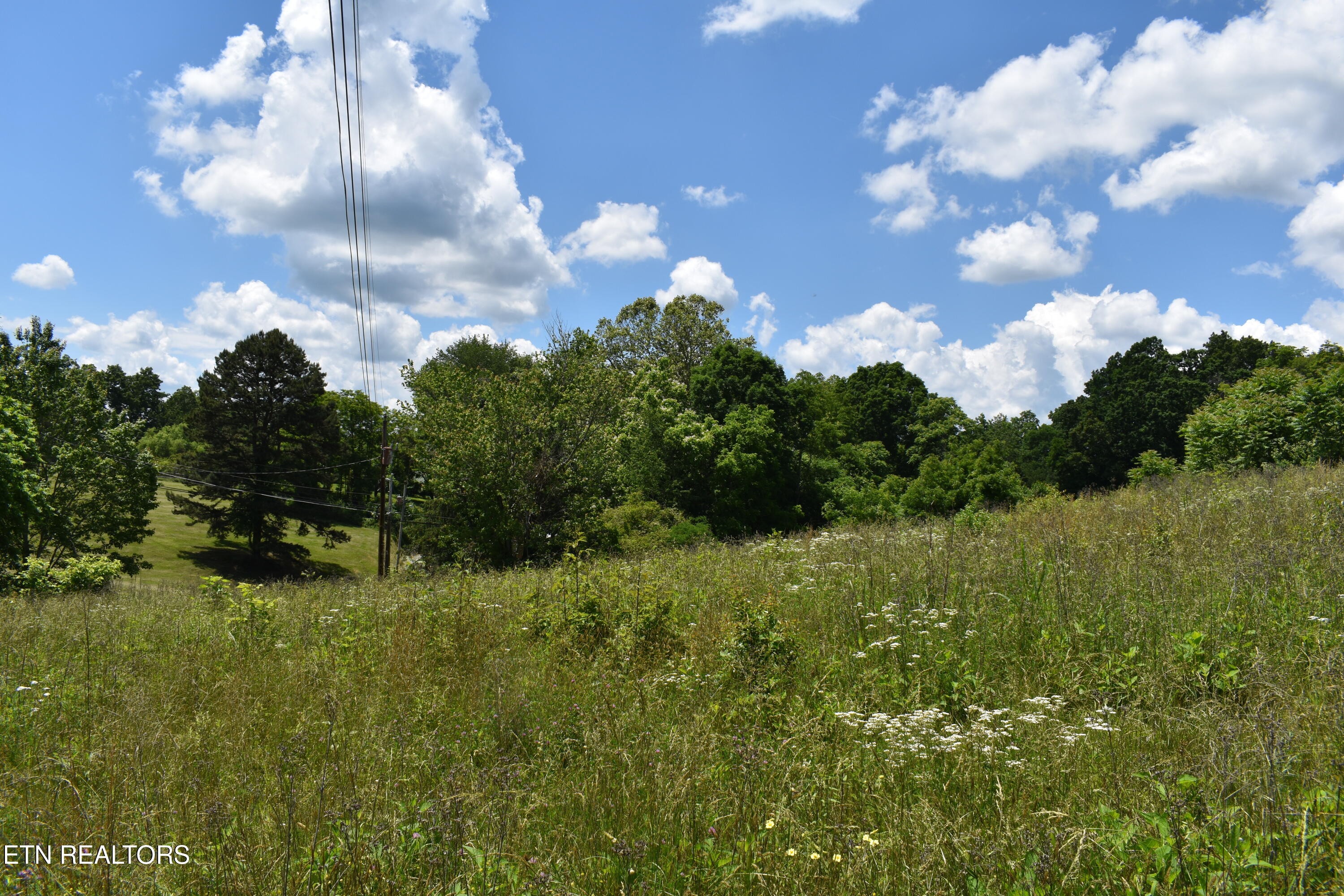 417 River Rd Property Photo 1