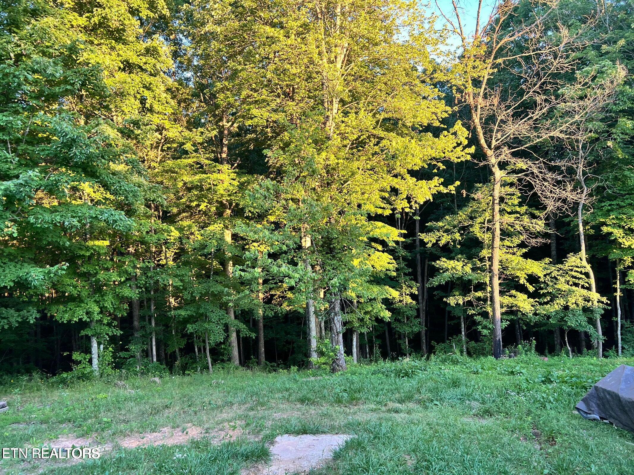838 Slaven Ridge Rd Property Photo 19