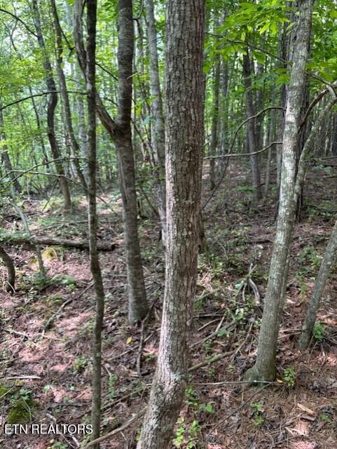 Indigo Bunting Drive Property Photo 1