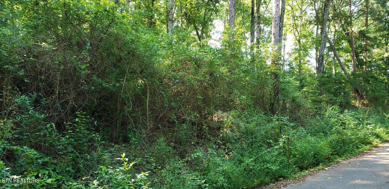 4 Treeline Drive Property Photo 1