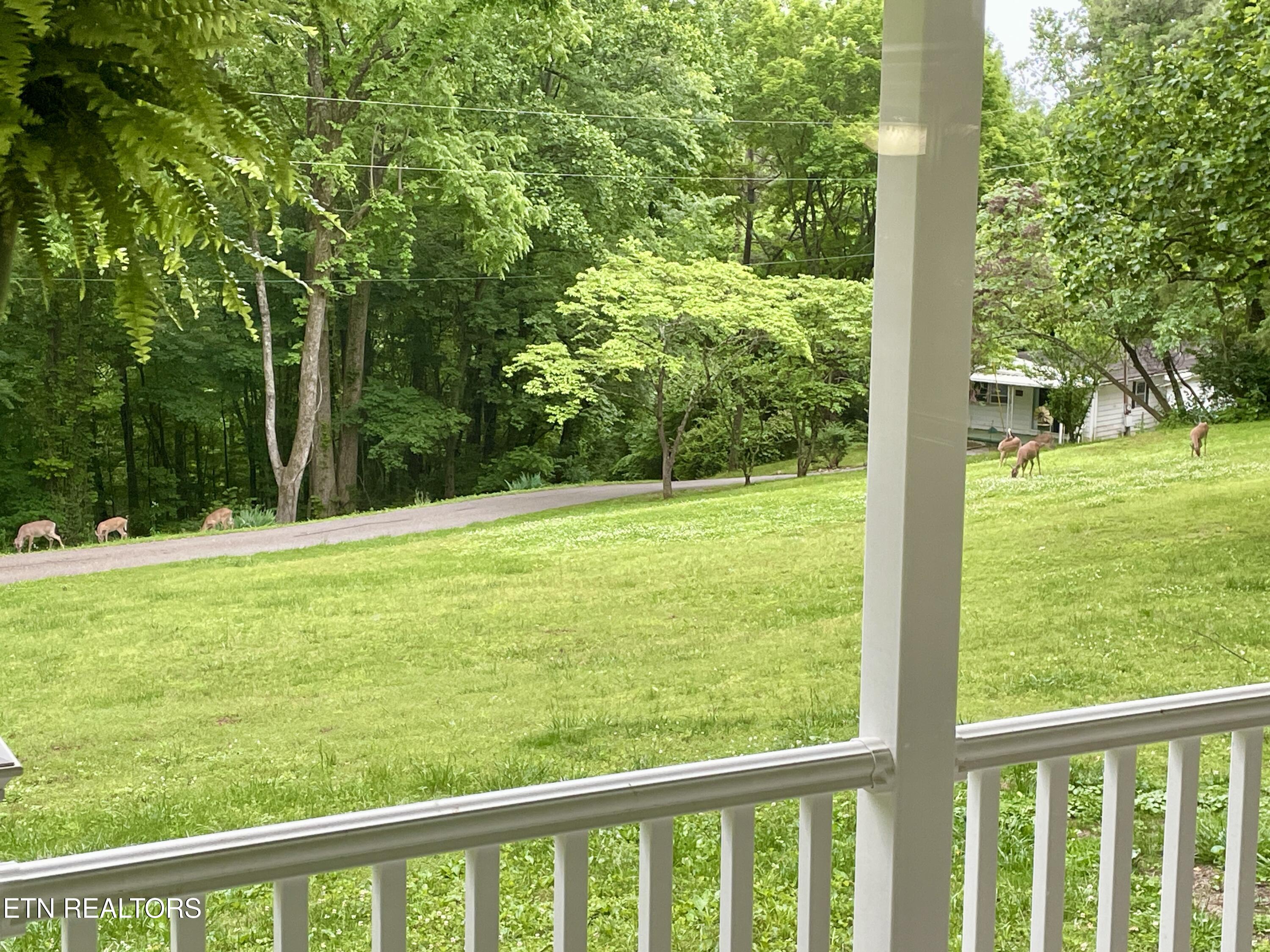 8452 Carr Lane Property Photo 47